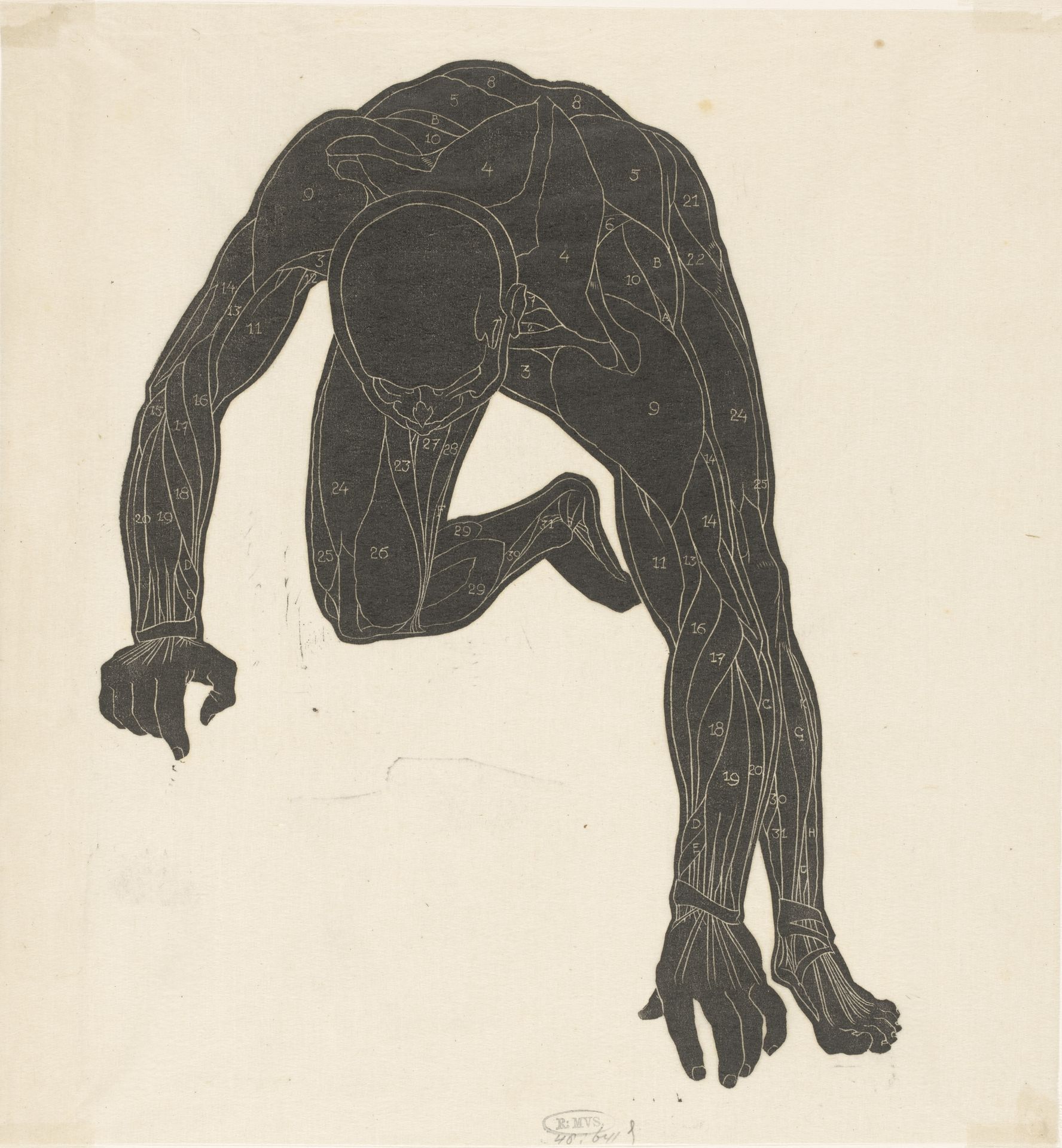 Anatomische studie van de hals-, arm- en beenspieren van een man in silhouet by Reijer Stolk