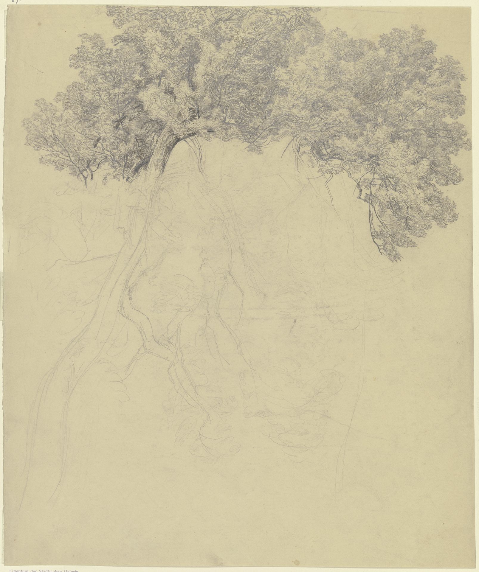 Treetops by Peter Becker