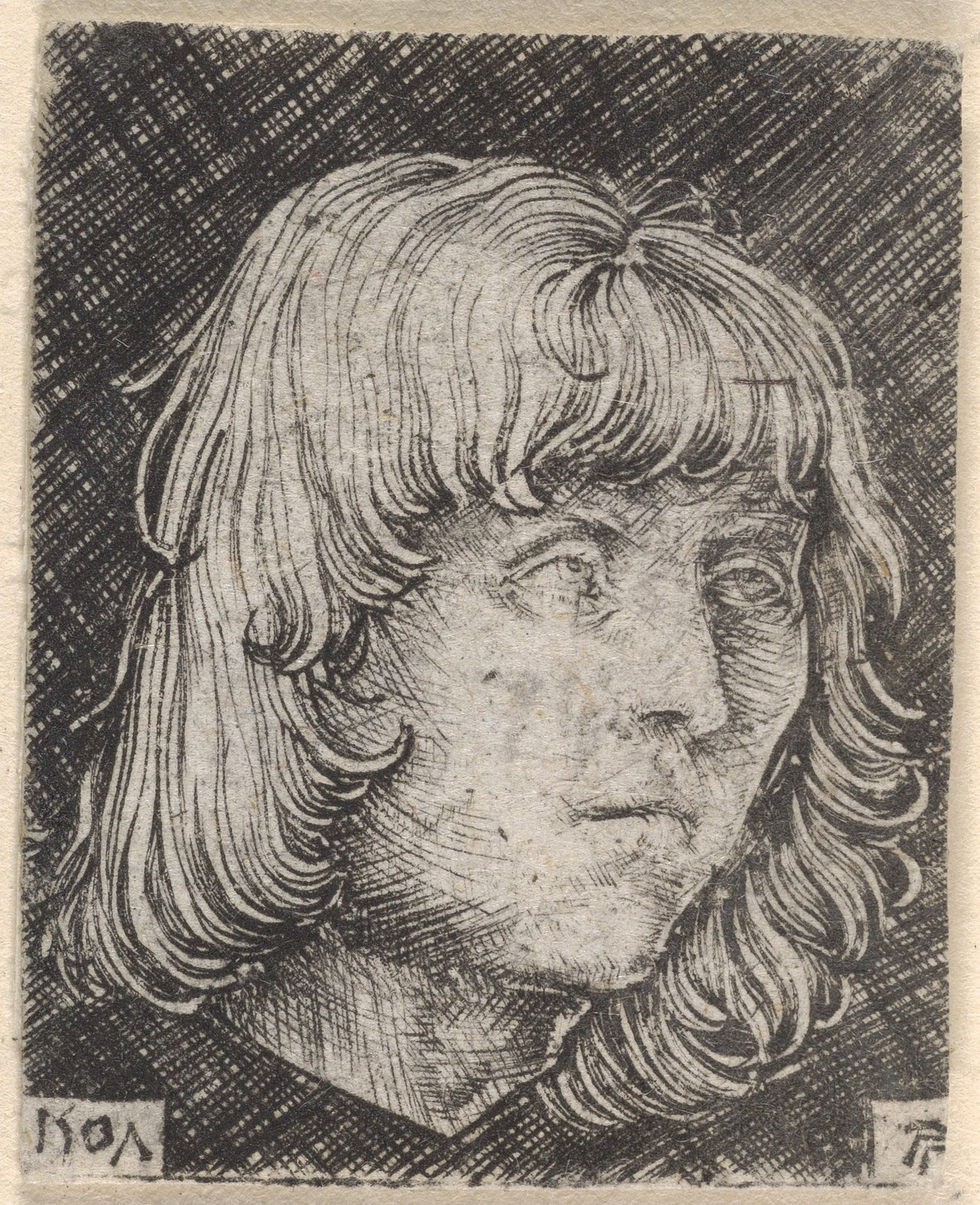Head of a Young Man by Albrecht Altdorfer