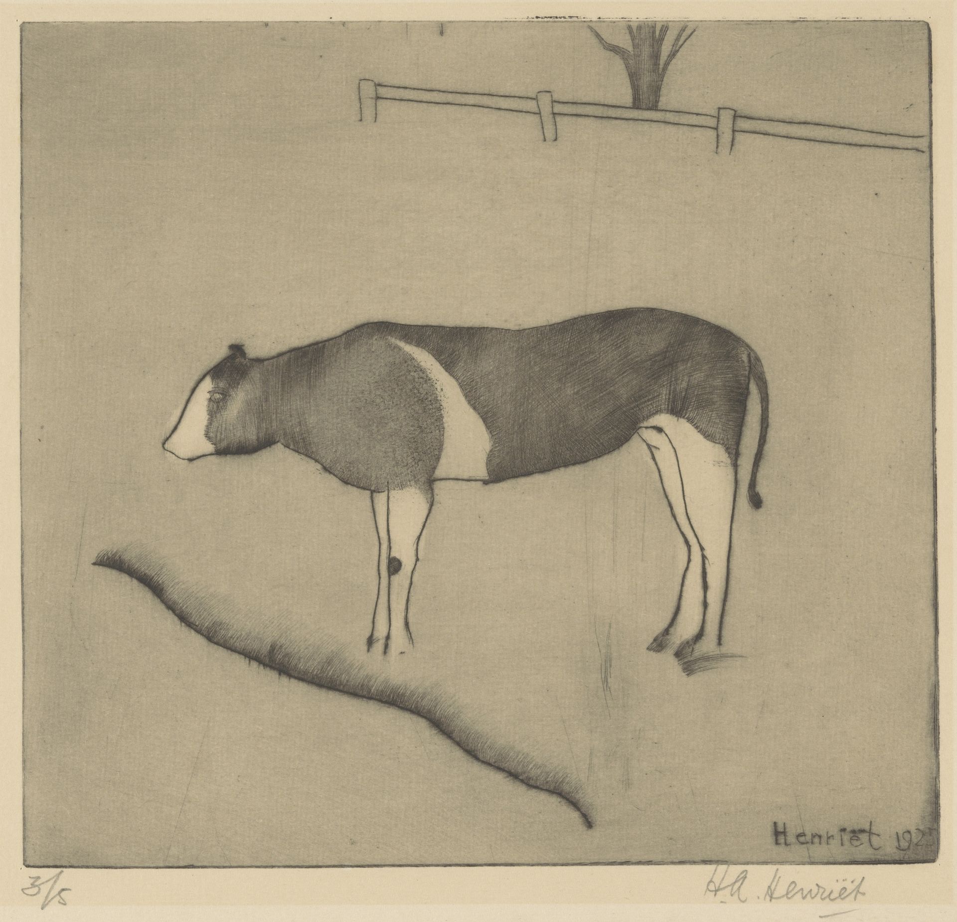 Koe staand bij een oever by Henk Henriët