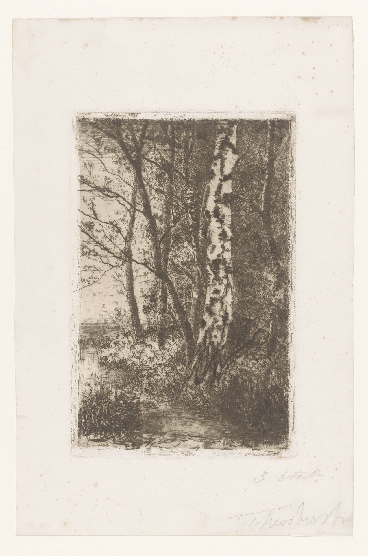 Landschap met berk bij Brasschaat by Theodoor Verstraete