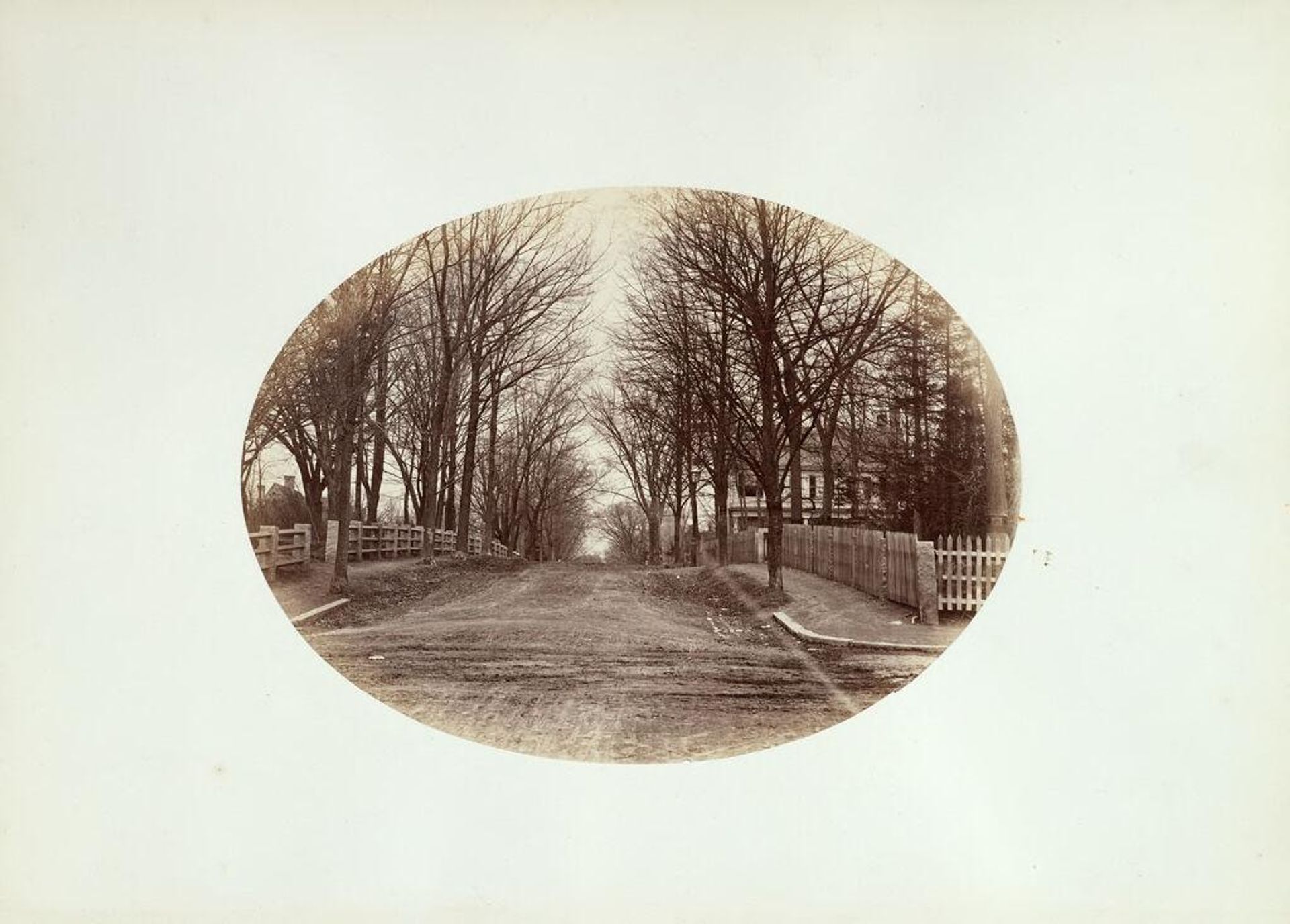 Quincy Street from Harvard Street by George Kendall Warren