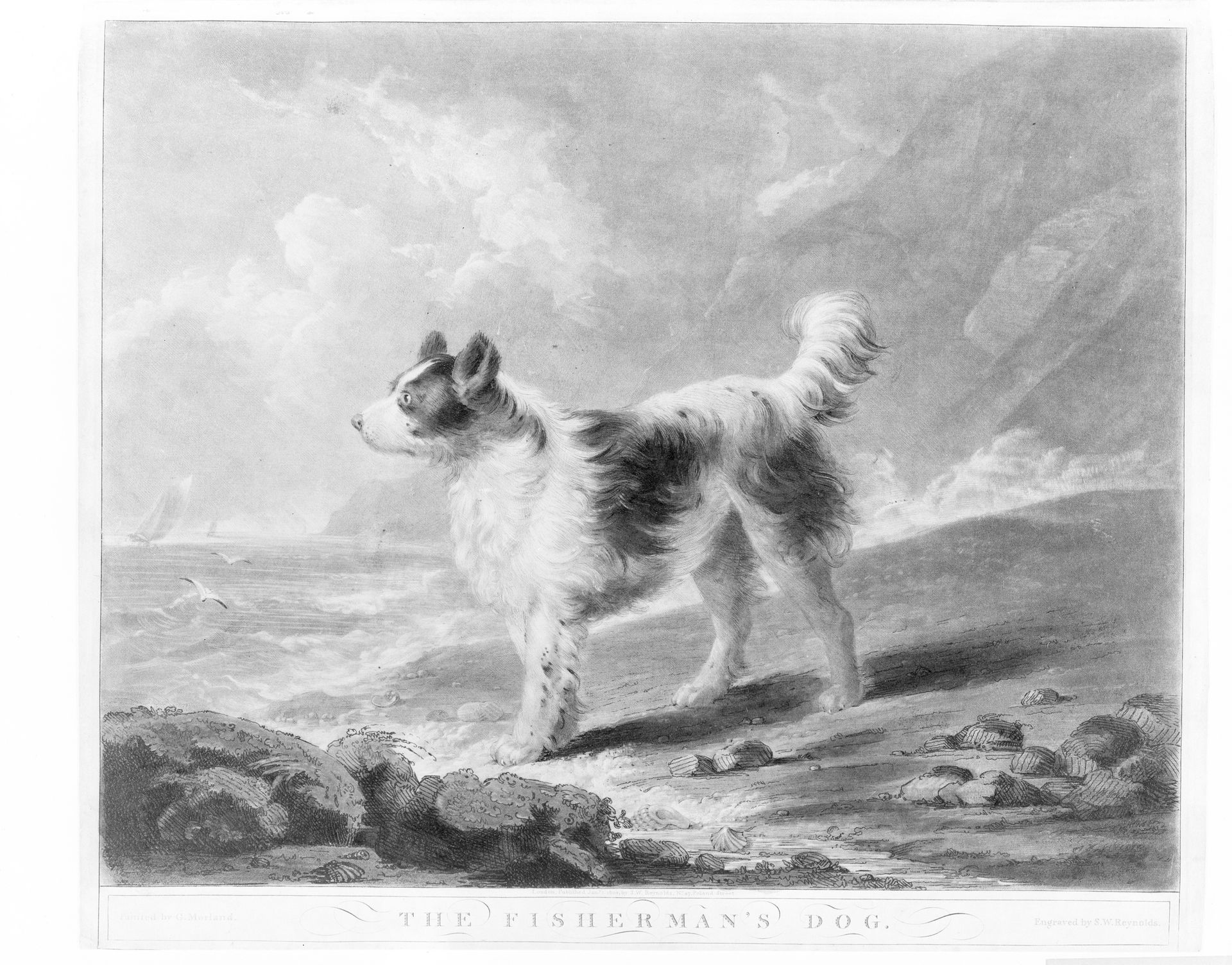 The Fisherman's Dog by Samuel William Reynolds, the elder