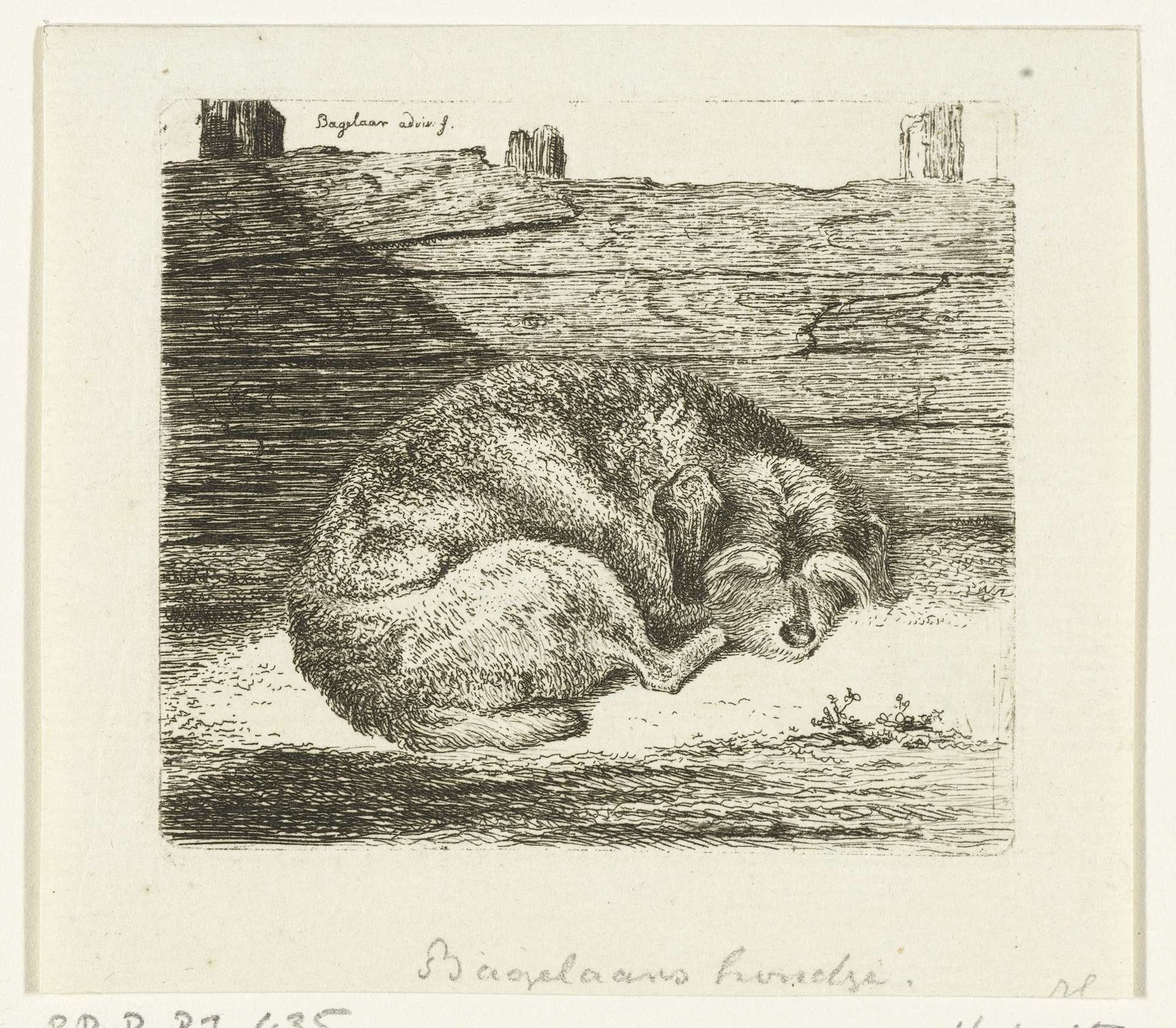 Slapende hond by Ernst Willem Jan Bagelaar