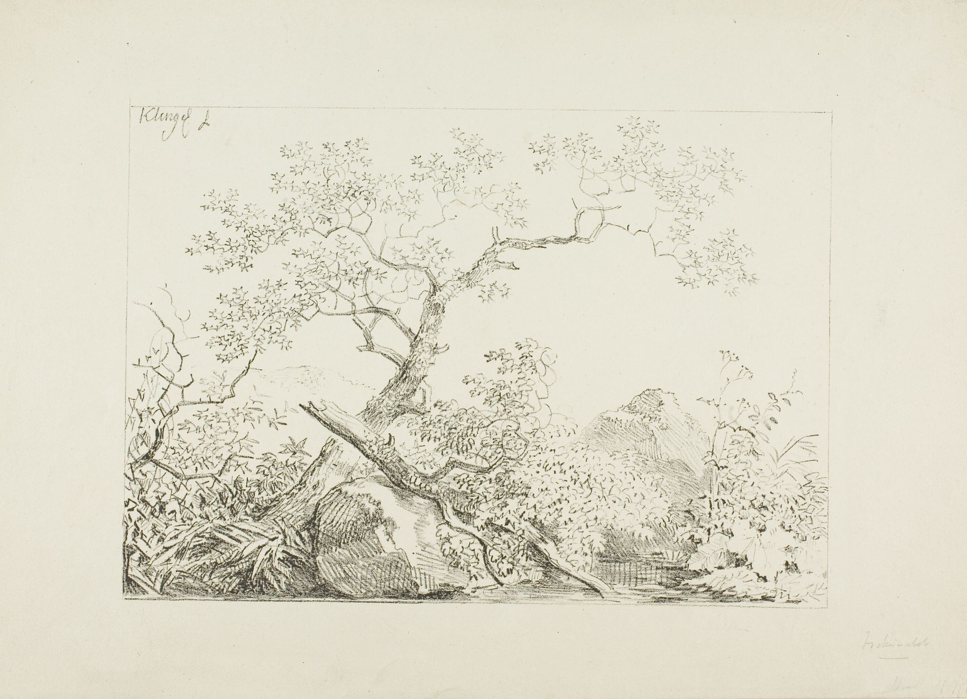 Trees and Rocks by Water by Johann Christian Klengel