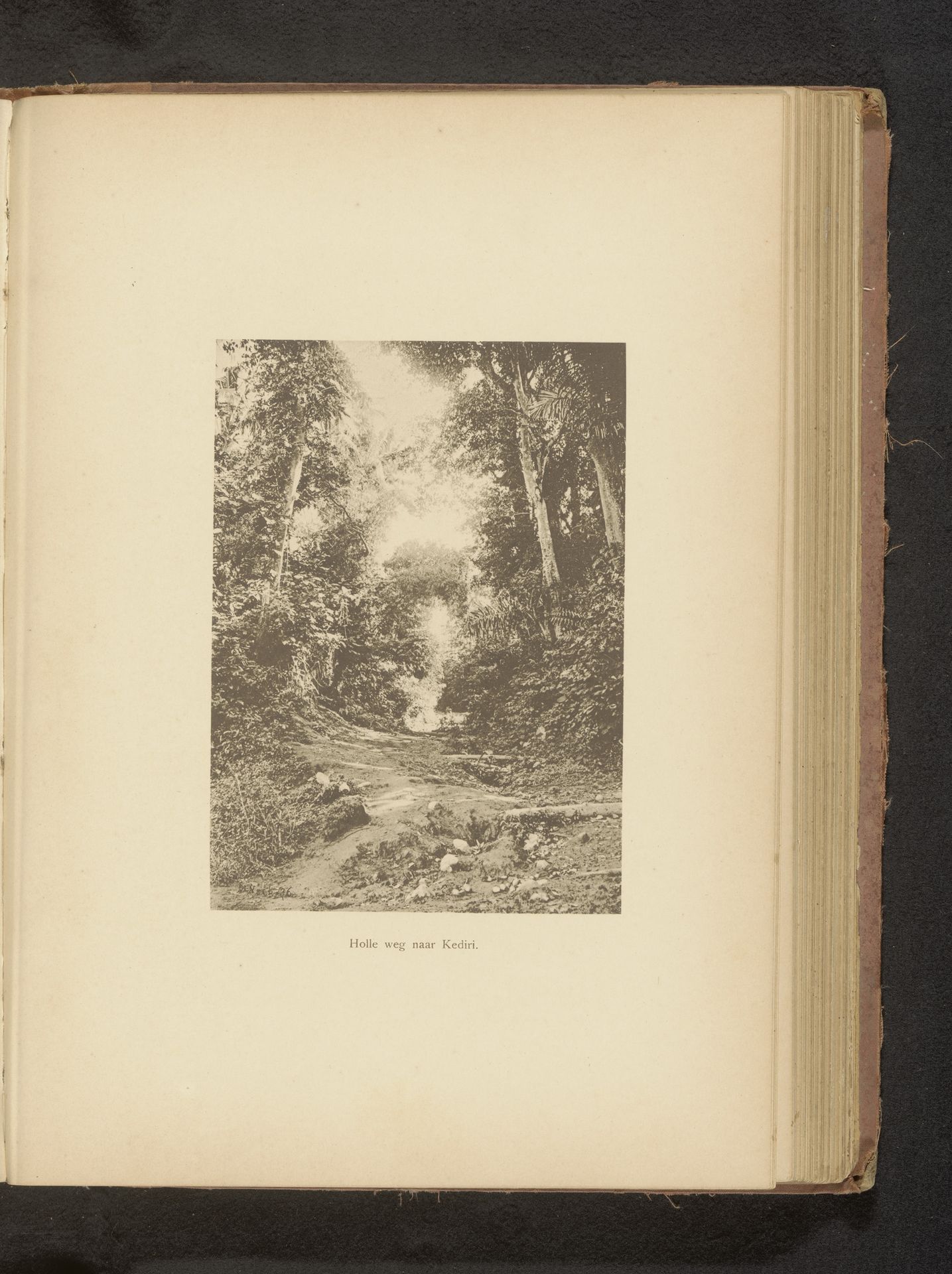 Pad door het bos by Christiaan Johan Neeb