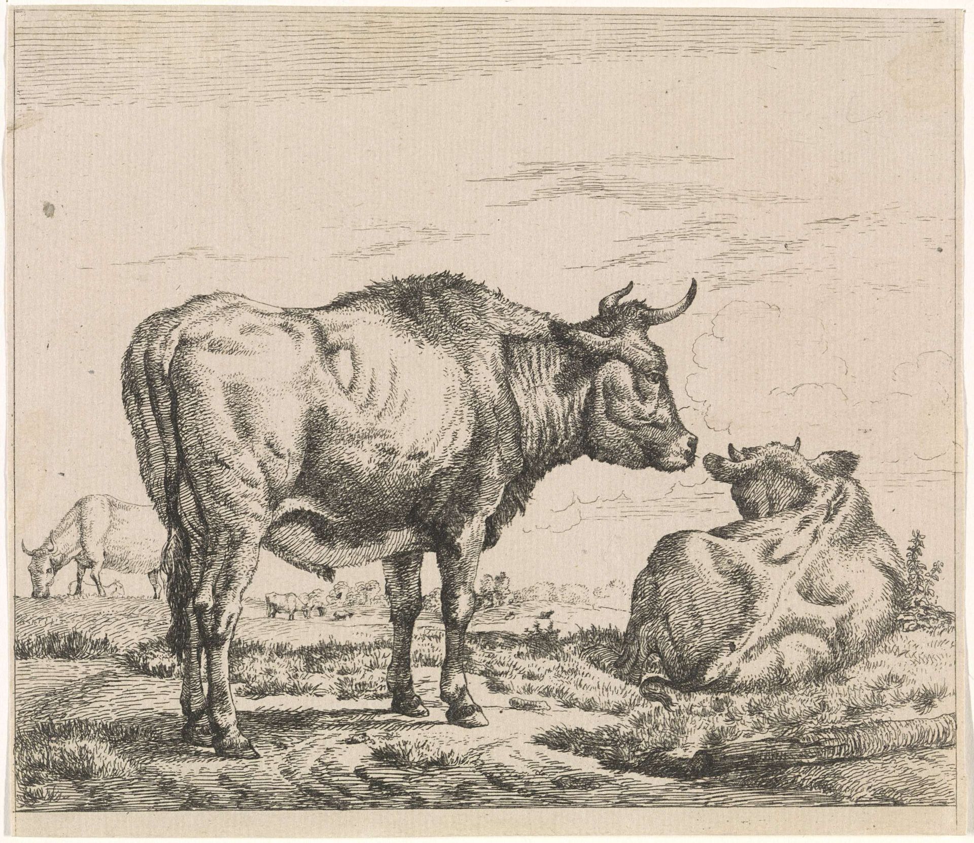 Staande en liggende stier by Anonymous
