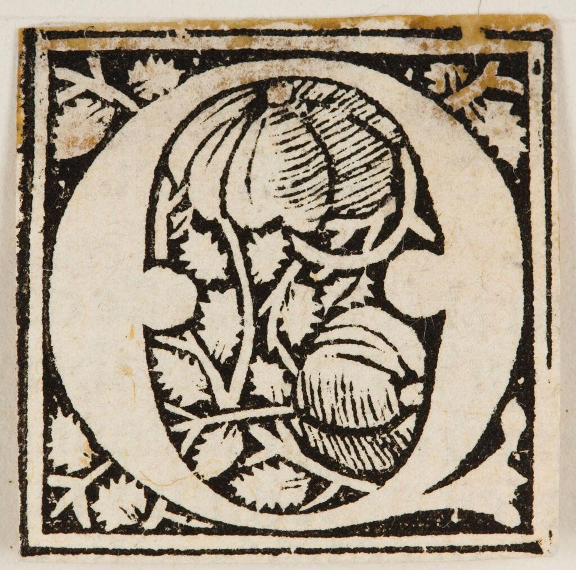 Initial G (?) by Anonymous
