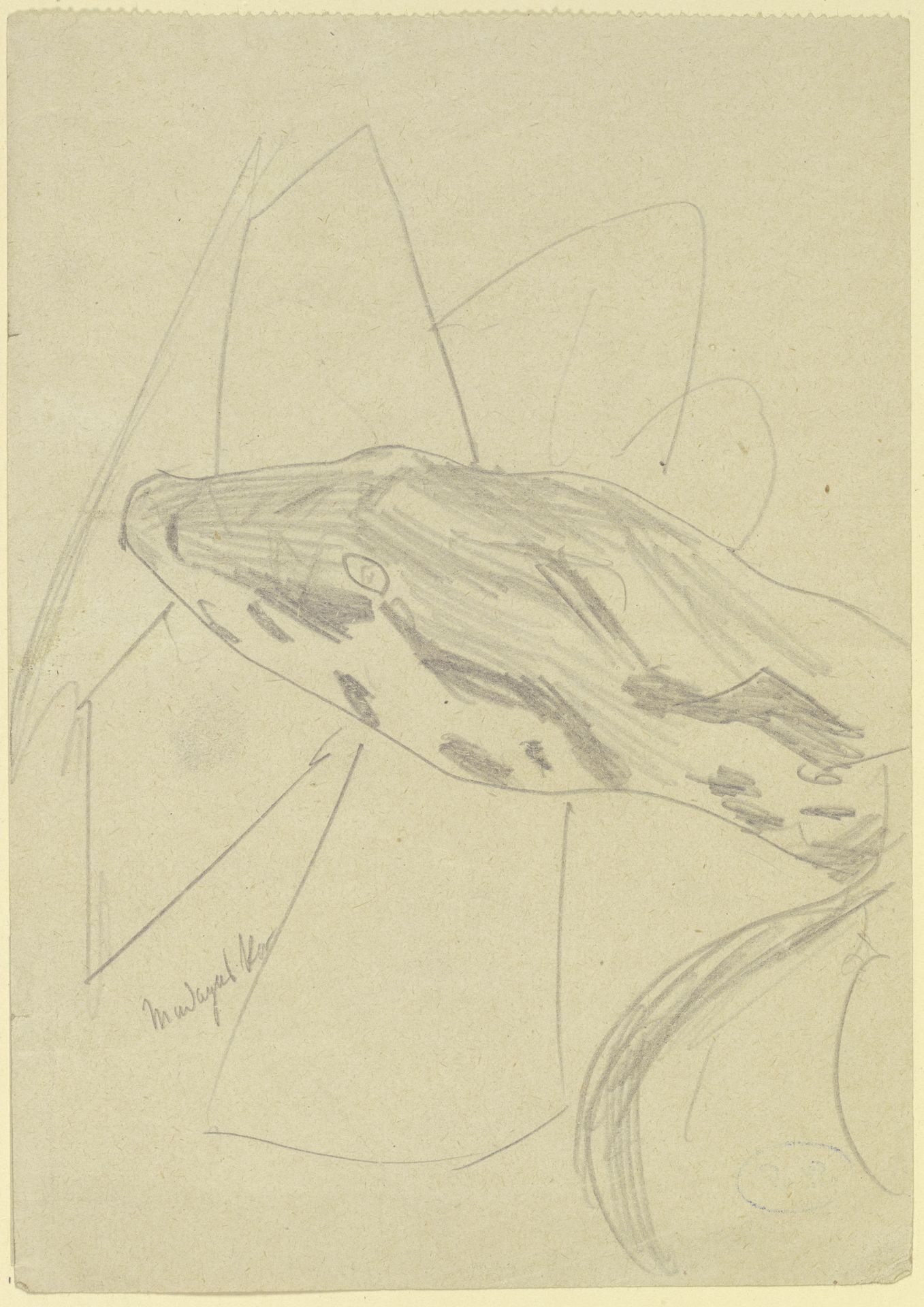 Serpent's head by Max Beckmann