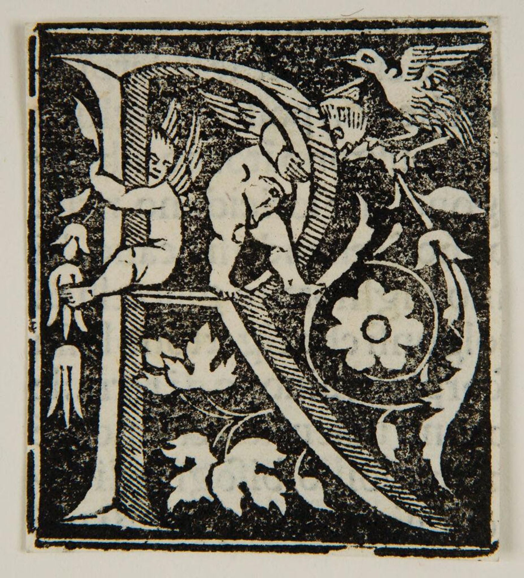 Letter R by Anonymous