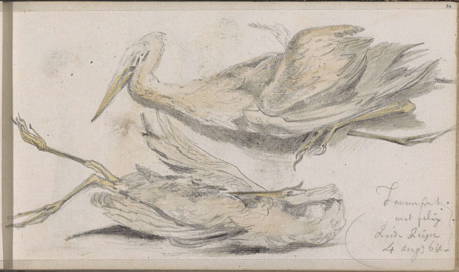 Dode reiger by Johannes Tavenraat