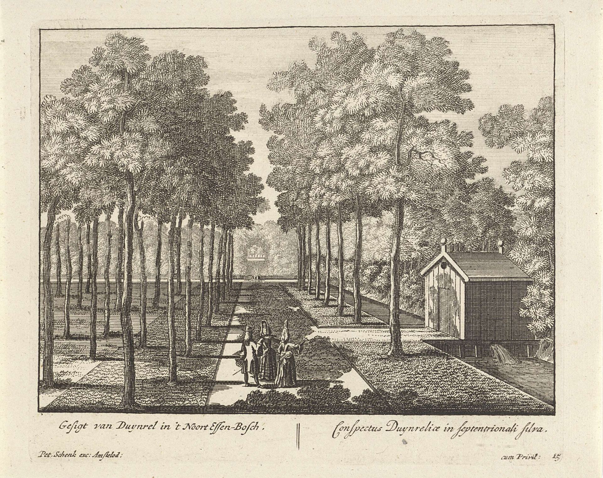 Gezicht op het essenbos van buitenplaats Duinrell by Anonymous