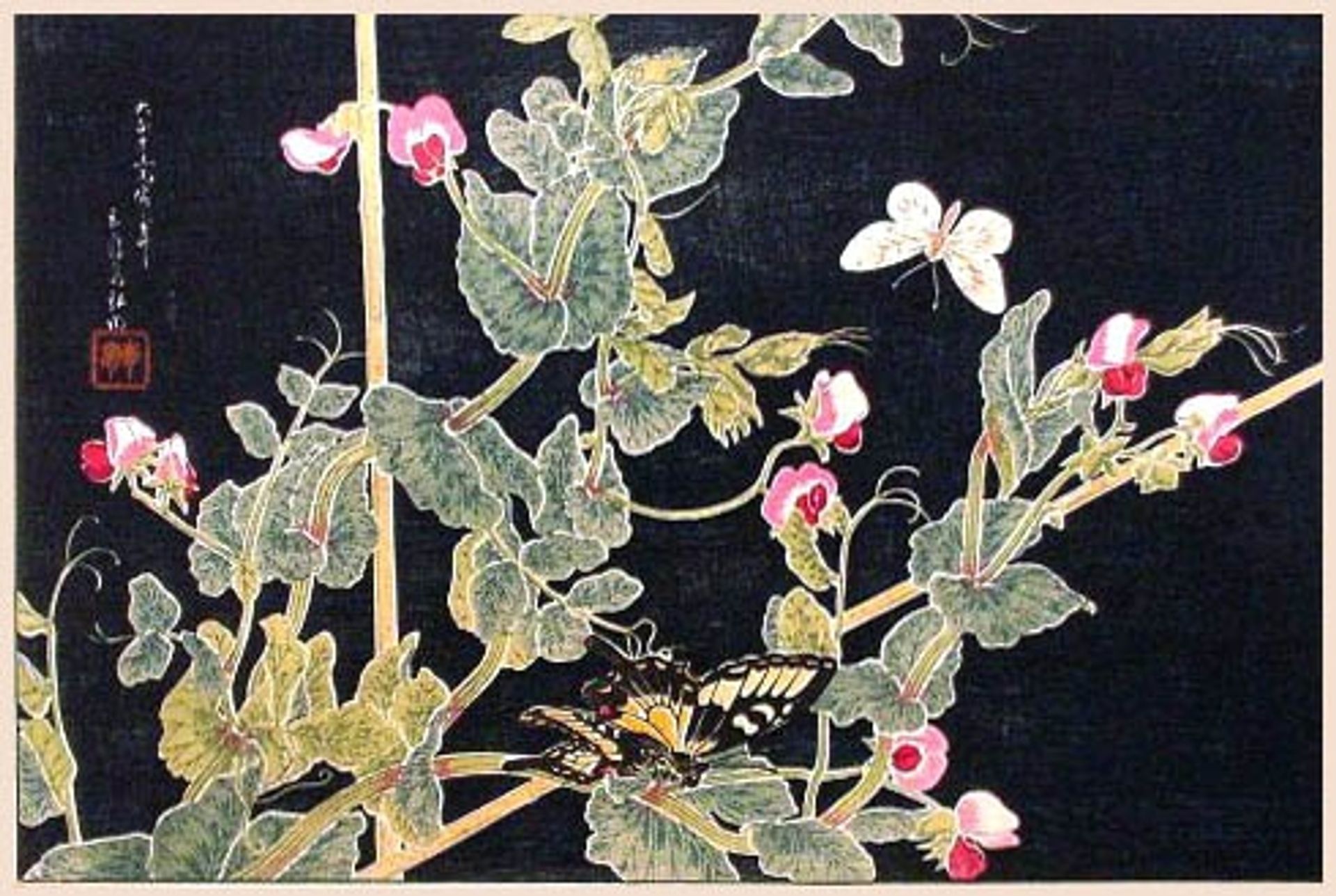 Sweetpeas and Butterflies by Shotei Takahashi