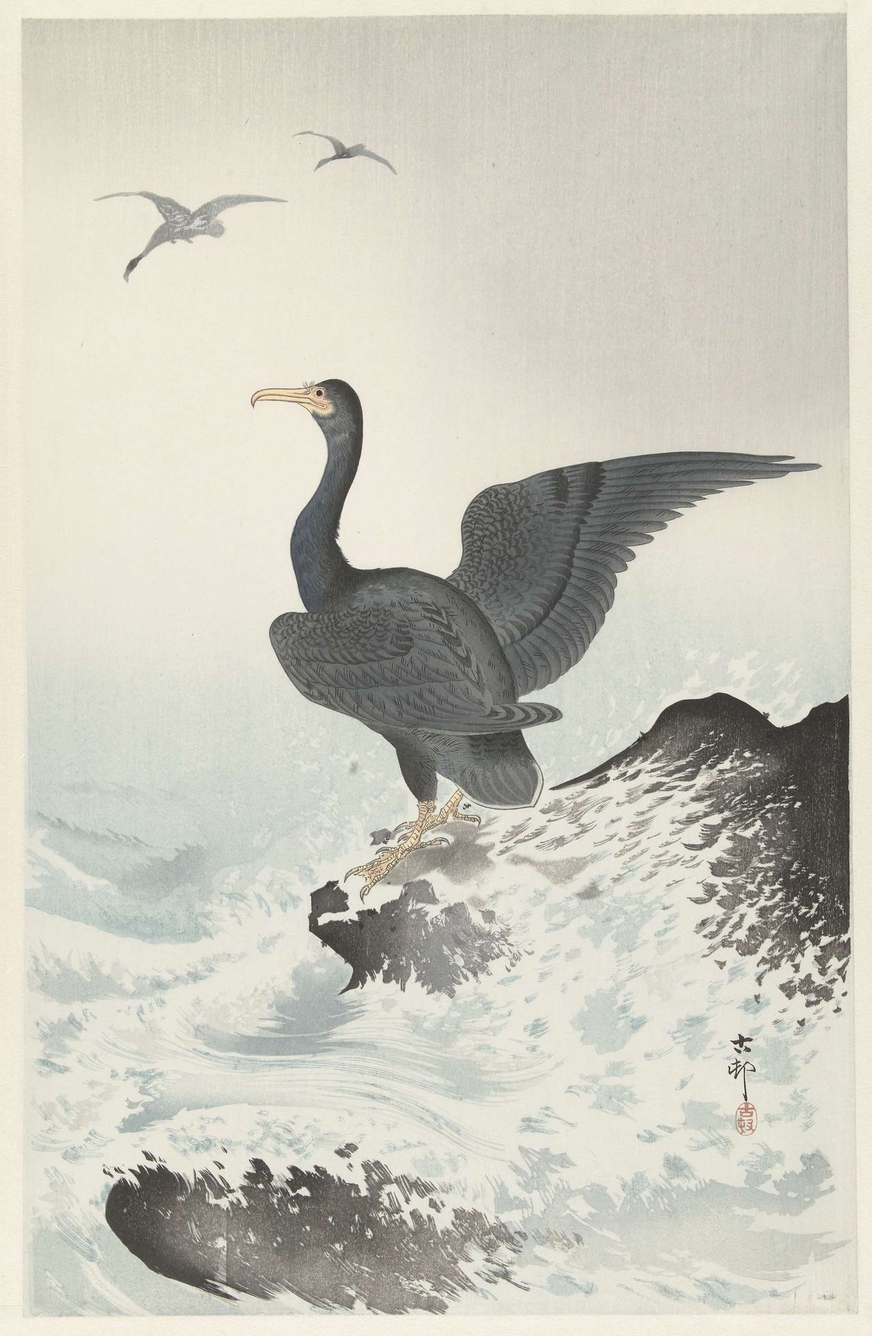 Roodmaskeraalscholver op rots by Ohara Koson