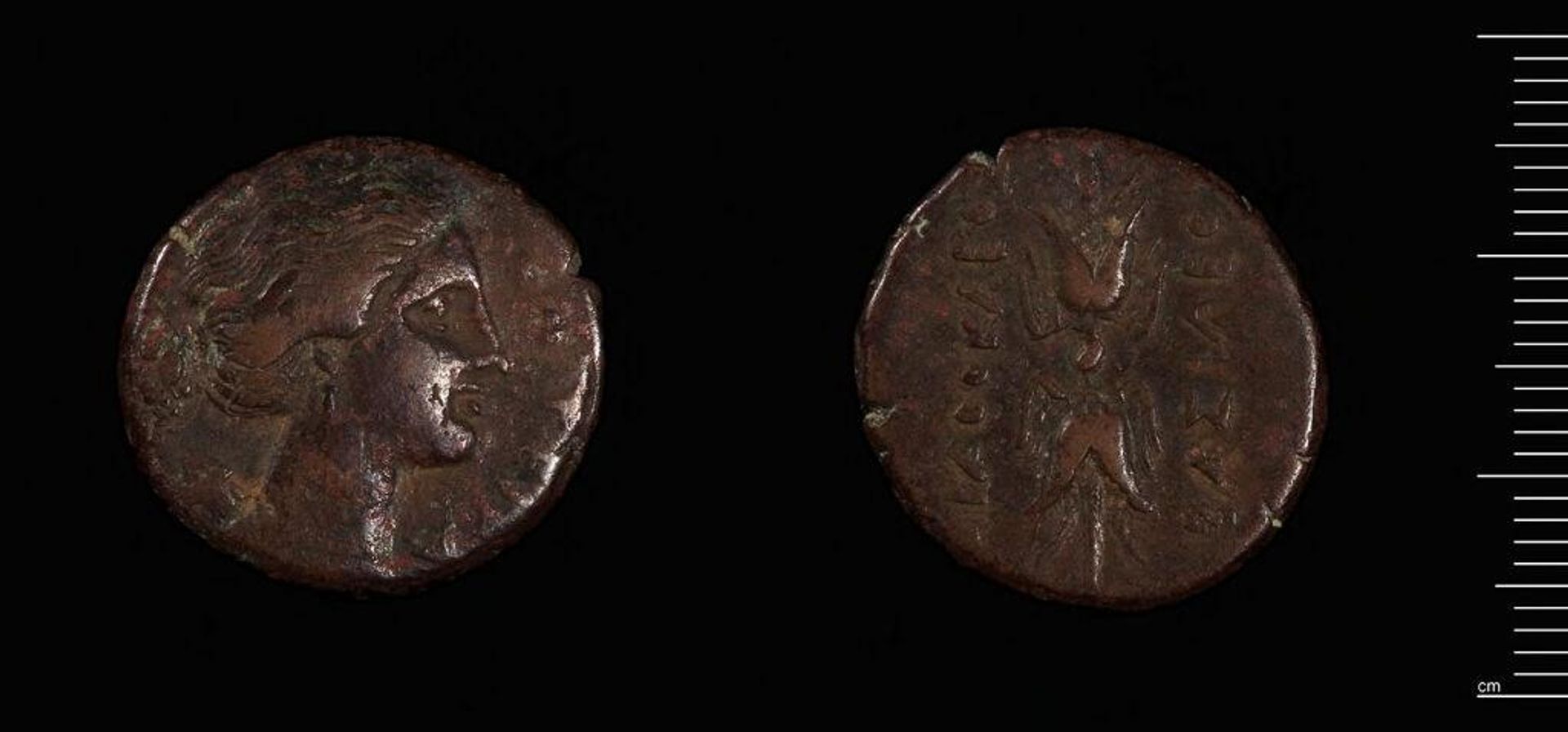 Coin of Agathokles, Tyrant of Syracuse by Agathokles of Syracuse