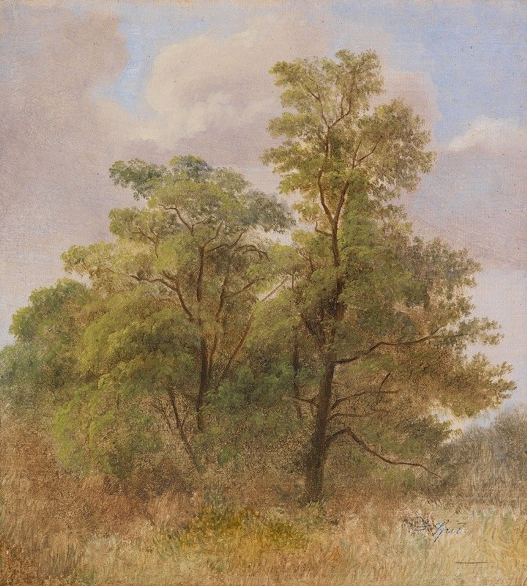 Baumstudie by Carl Spitzweg