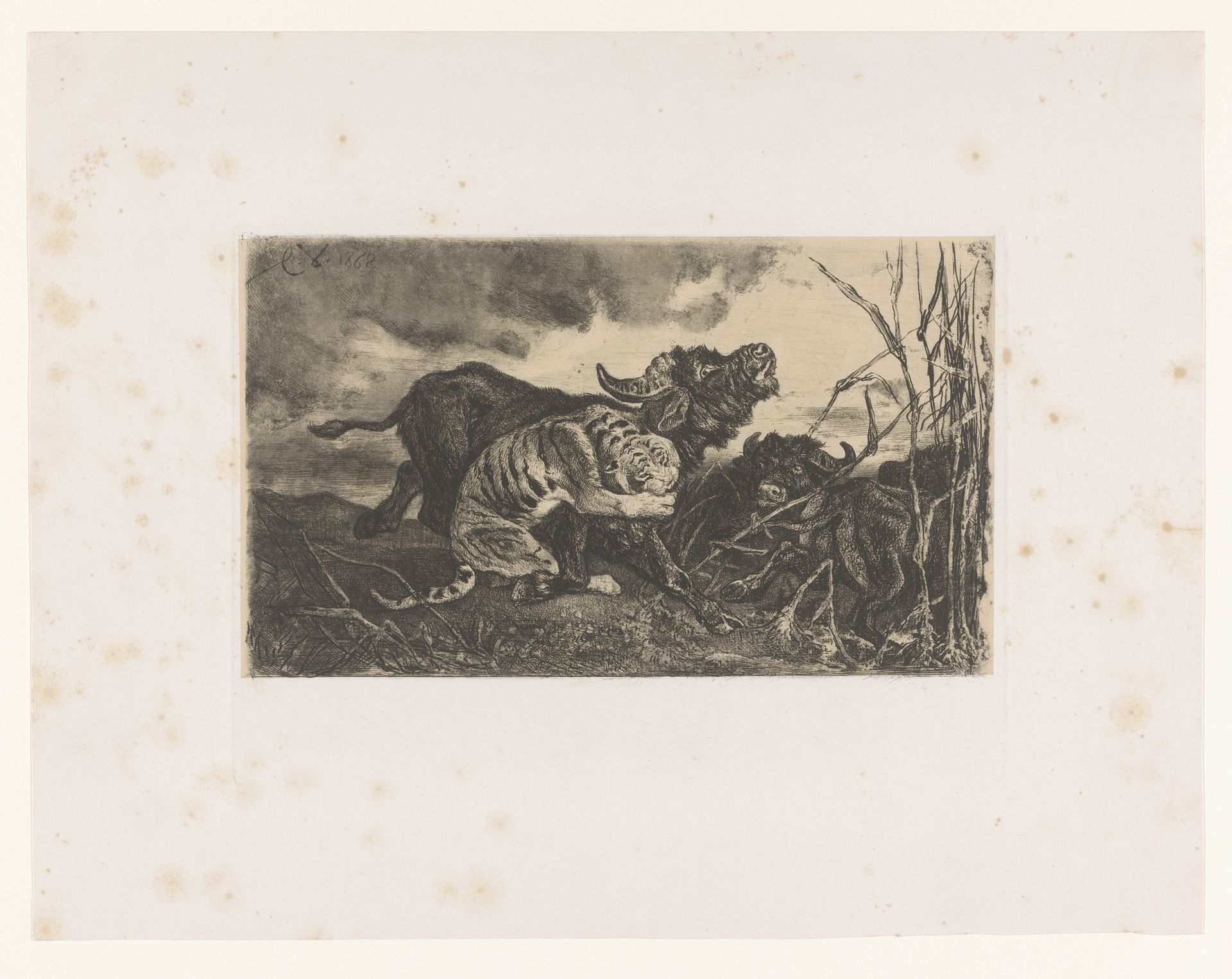 Buffels door een tijger aangevallen by Charles Verlat