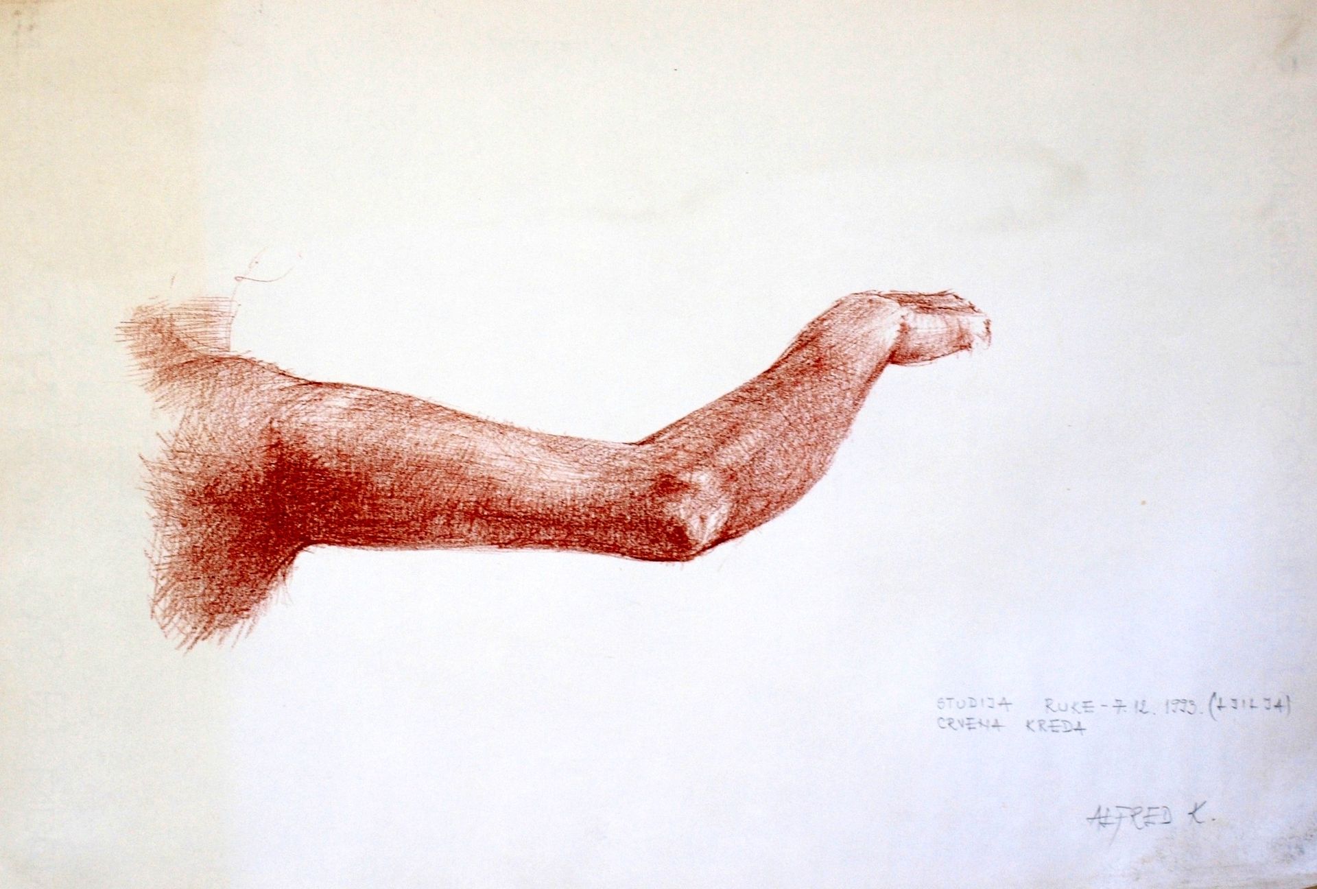 The Arm/Hand Study. Lilian (7.12.1993) by Alfred Freddy Krupa