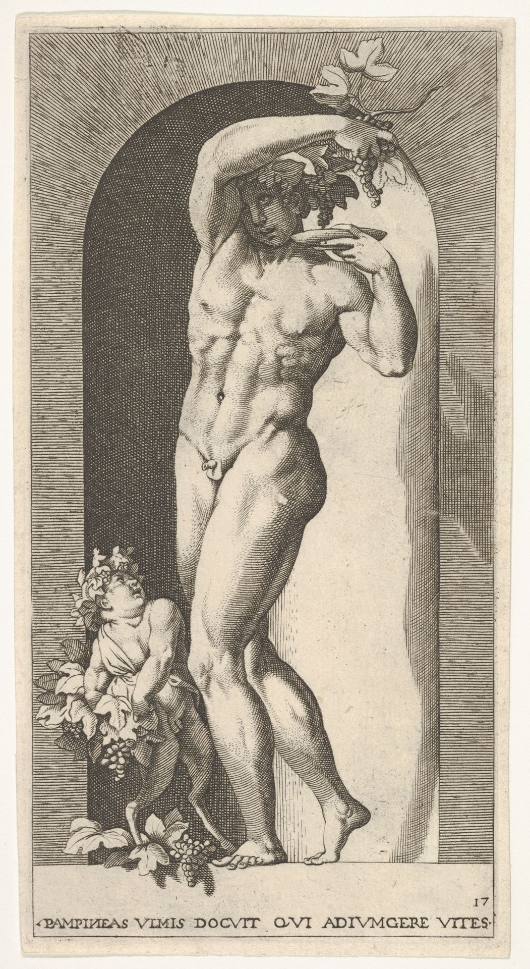 Plate 17: Bacchus standing in a niche, holding grapes over a plate, accompanied by an infant satyr, from a series of mythological gods and goddesses by Giovanni Jacopo Caraglio