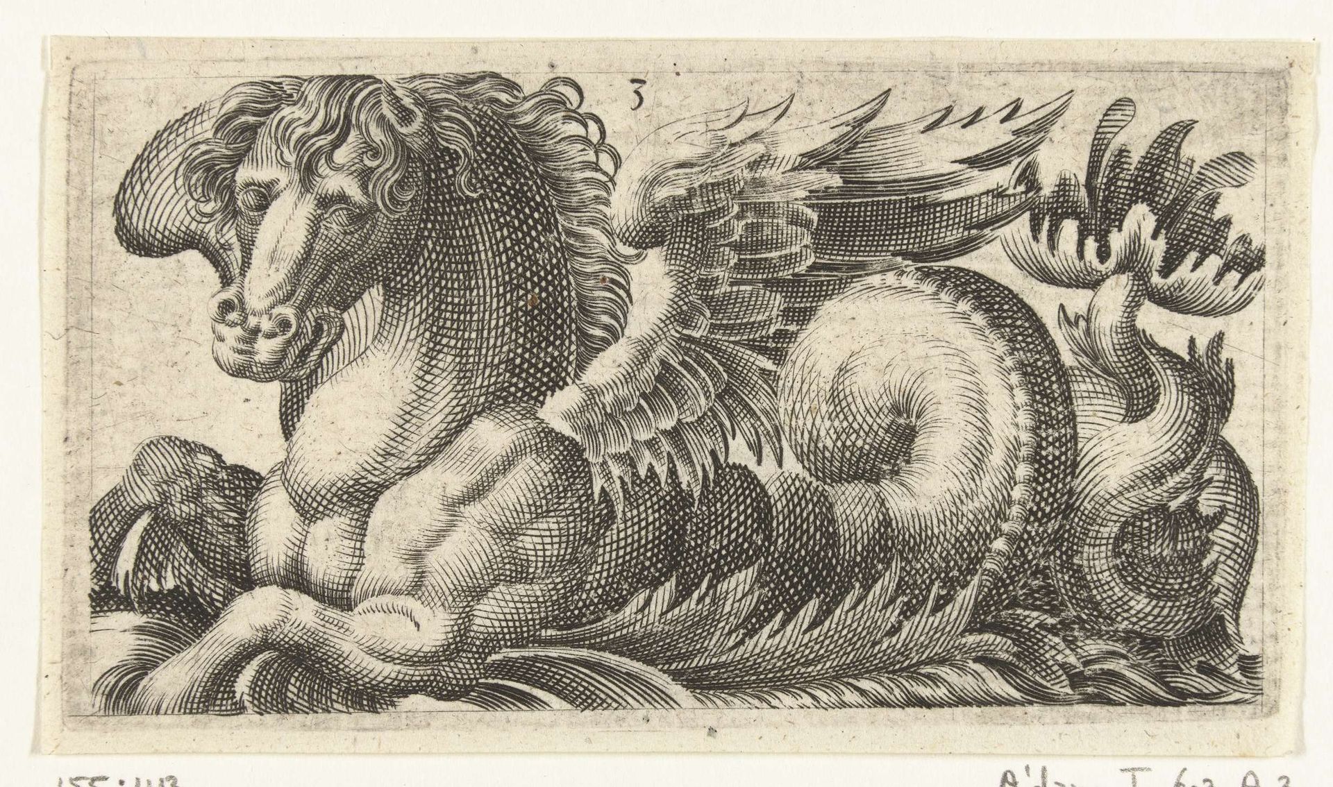 Gevleugeld zeepaard met aan het einde van zijn staart een open blad waaruit twee stampers steken by Adam Fuchs