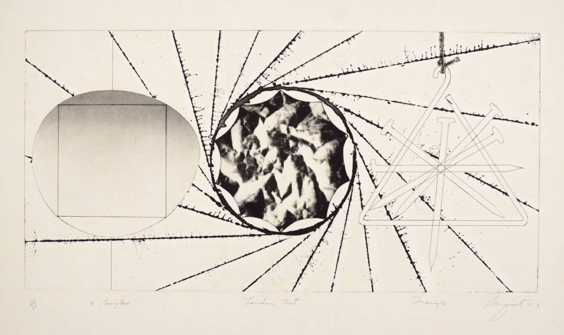 Sunglasses - Landing Net - Triangle by James Rosenquist