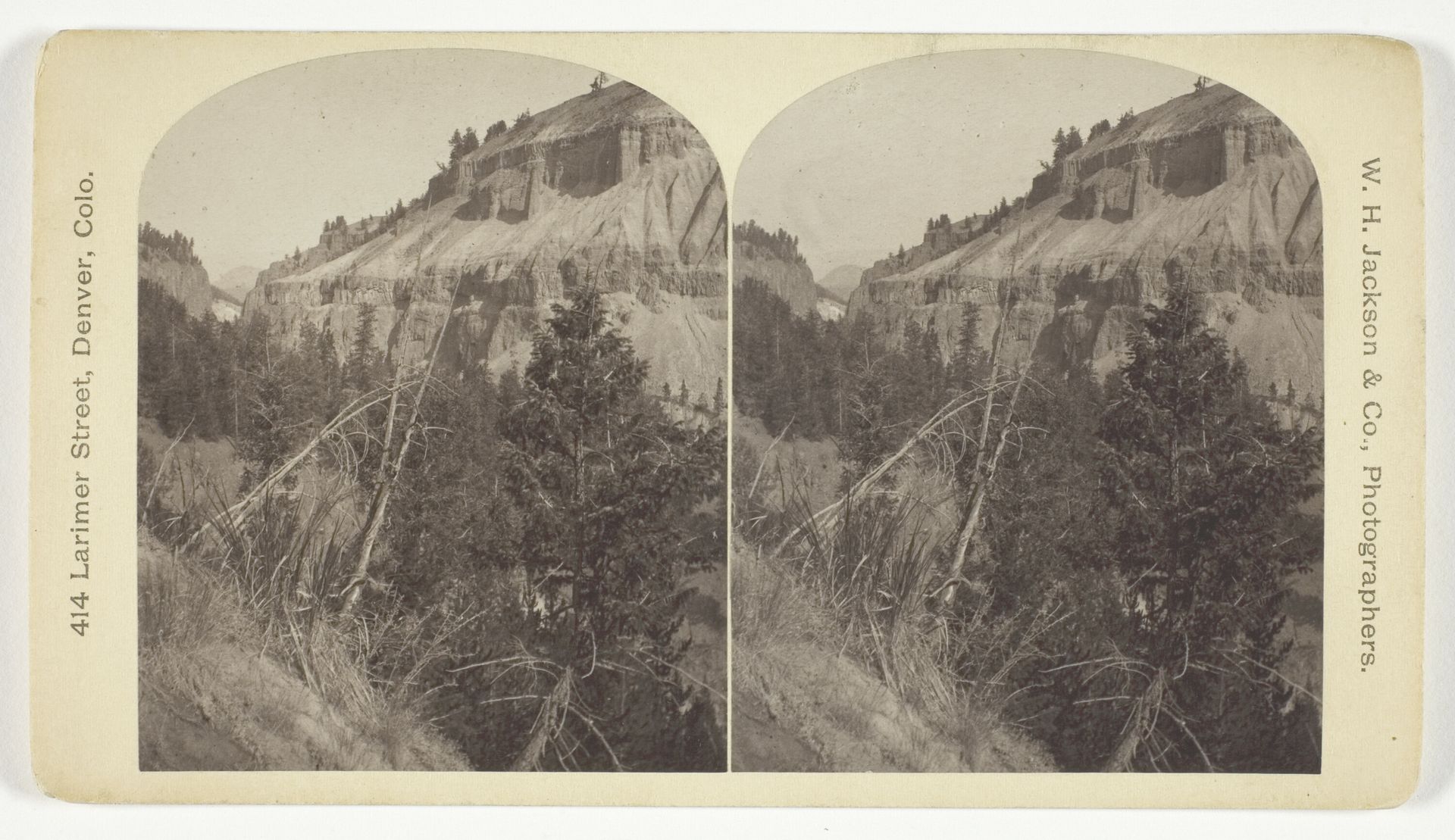 Basaltic Cañon, Foot of Tower Creek by William Henry Jackson