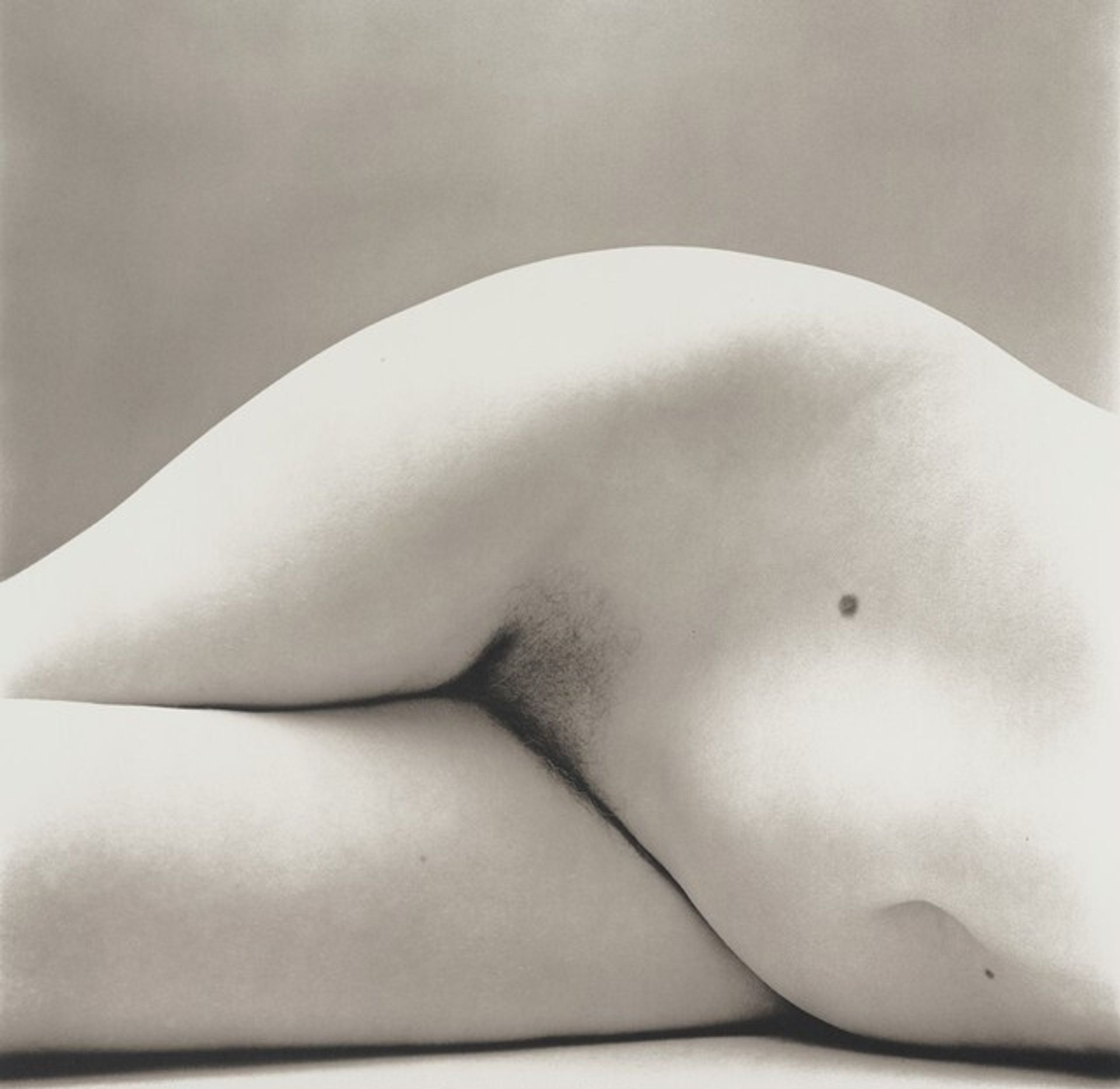 Nude No. 147, New York by Irving Penn
