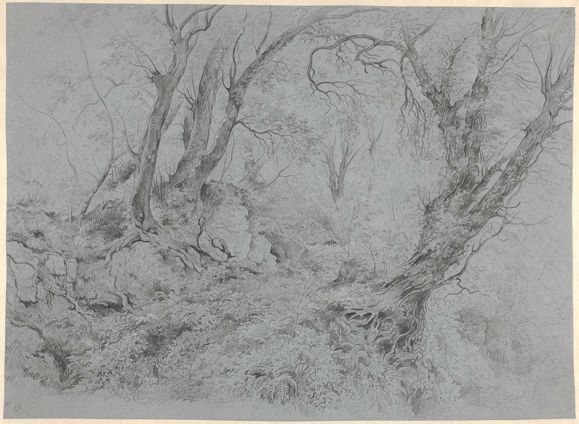 Study of trees before a mountain slope by Abraham Teerlink