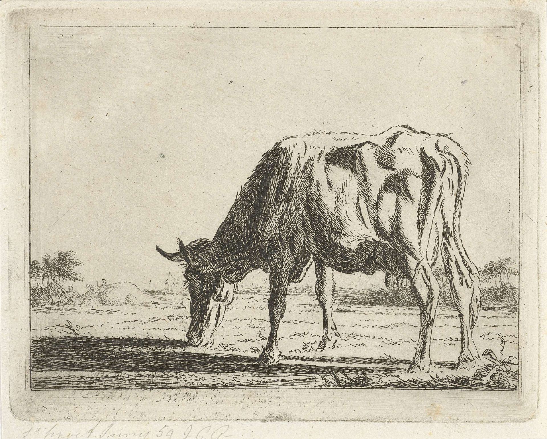 Grazende koe by Jacobus Cornelis Gaal
