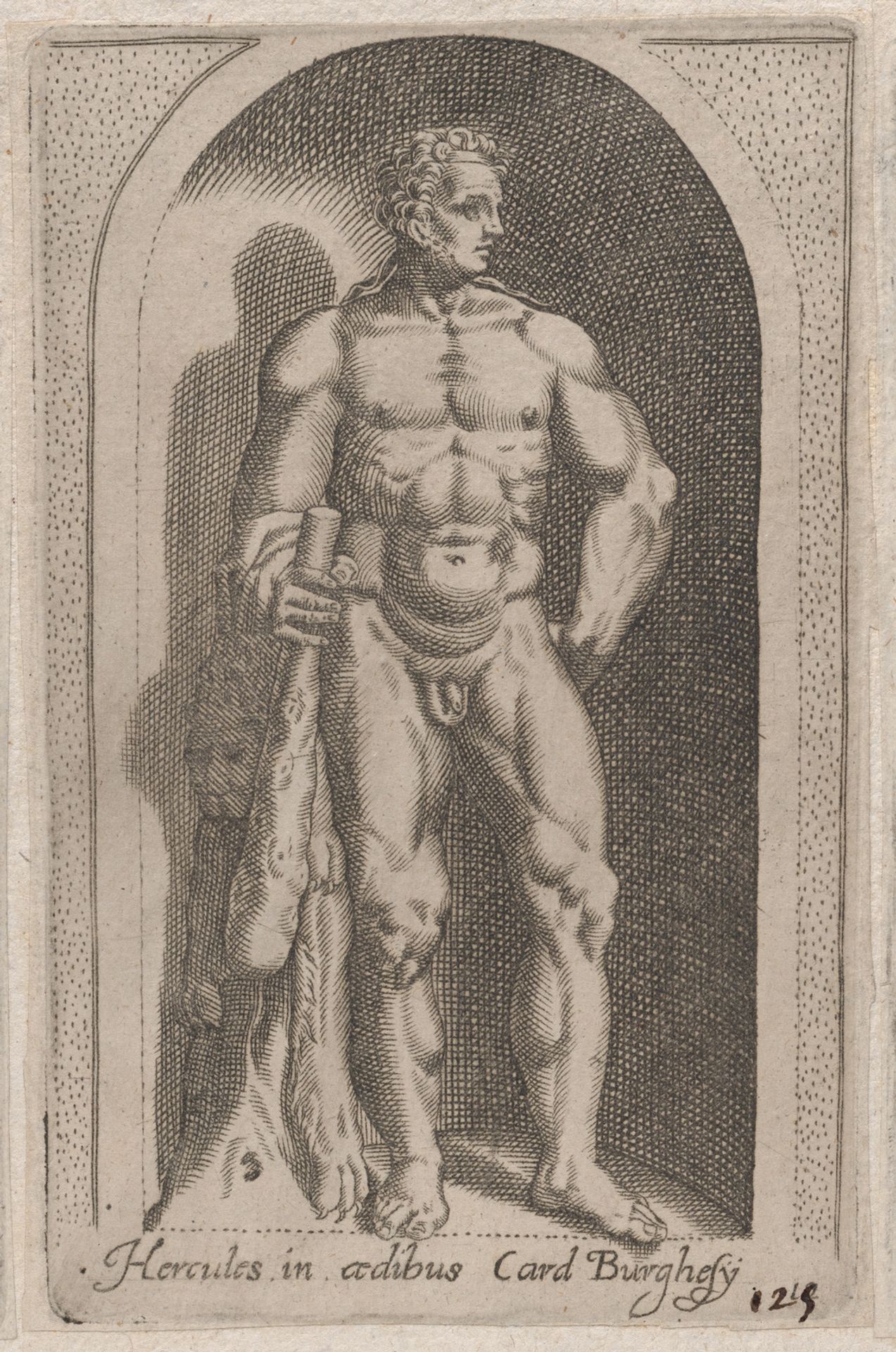 Speculum Romanae Magnificentiae: Hercules (Hercules in aedibus Card. Burghesij) by Anonymous