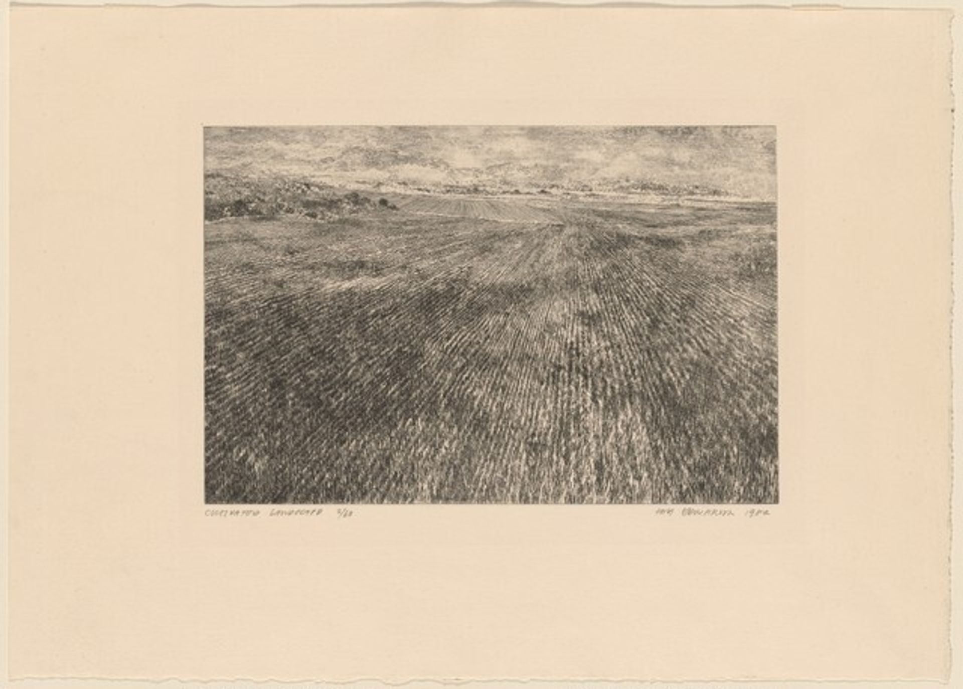 Cultivated Landscape by Tom Edwards