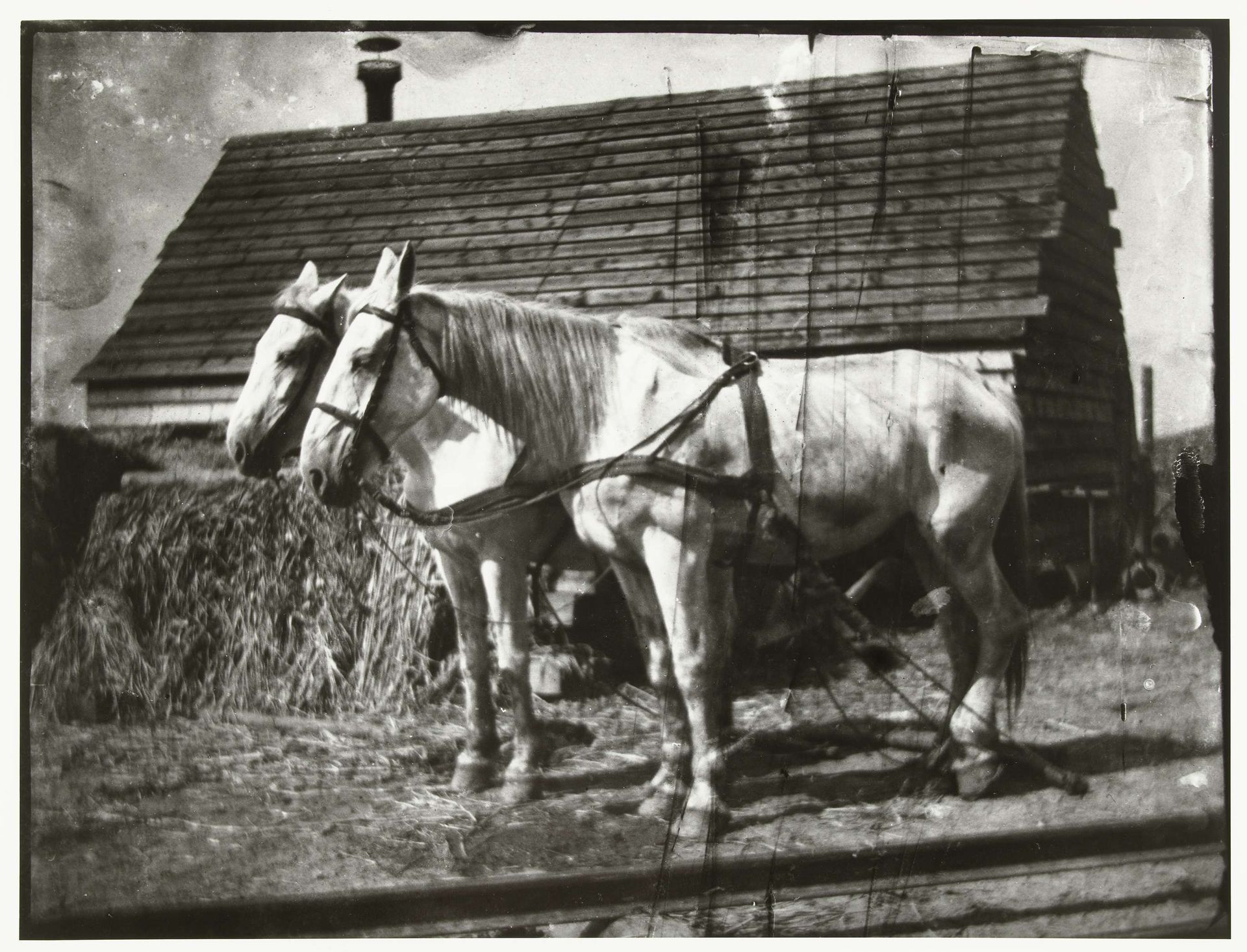 Paarden aan de Cruquiusweg by George Hendrik Breitner