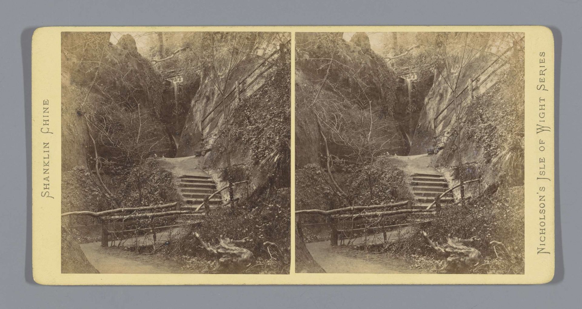Pad naar het ravijn van Shanklin Chine by J.W. Nicholson