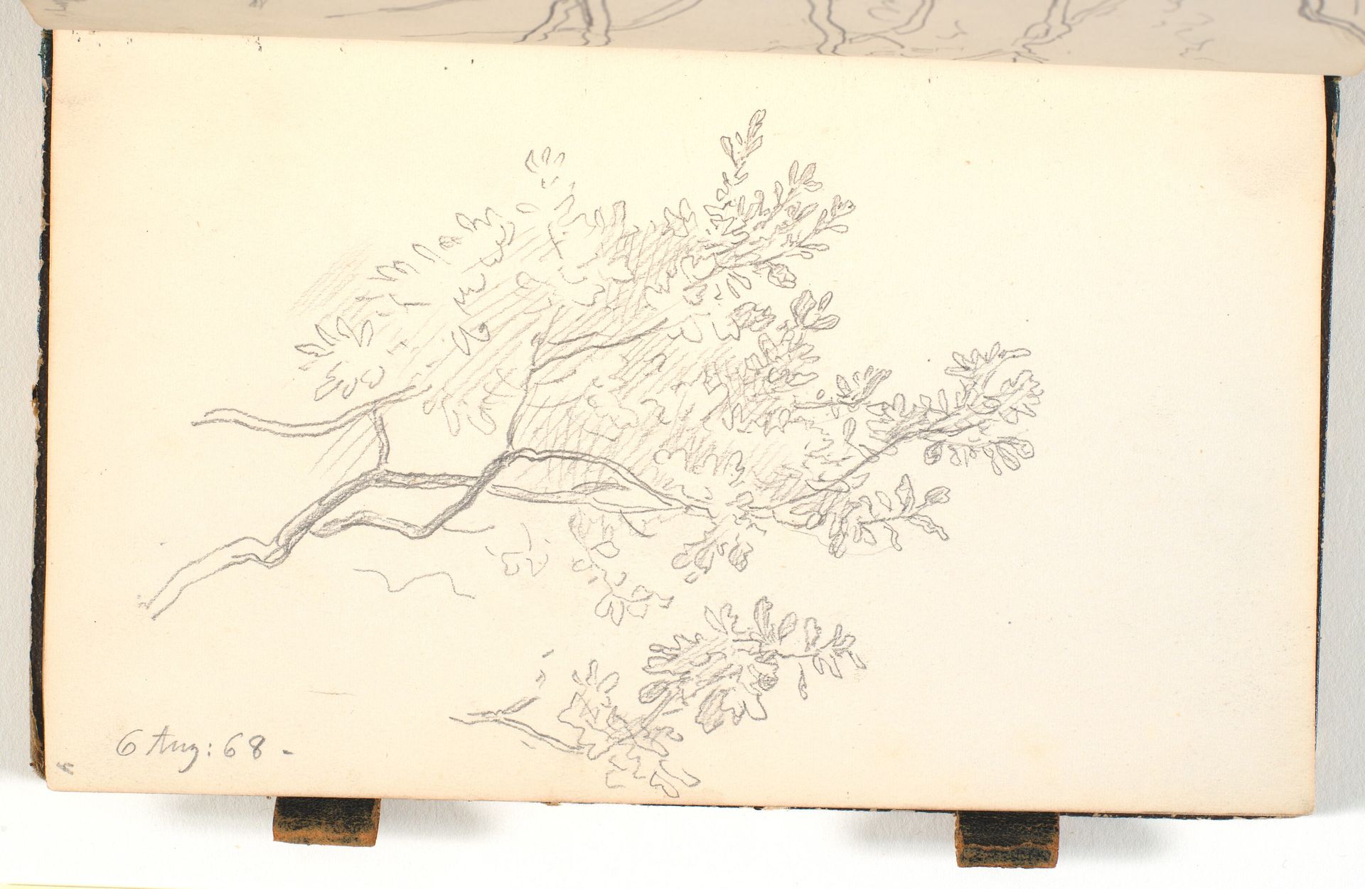 Grene med løv by P.C. Skovgaard