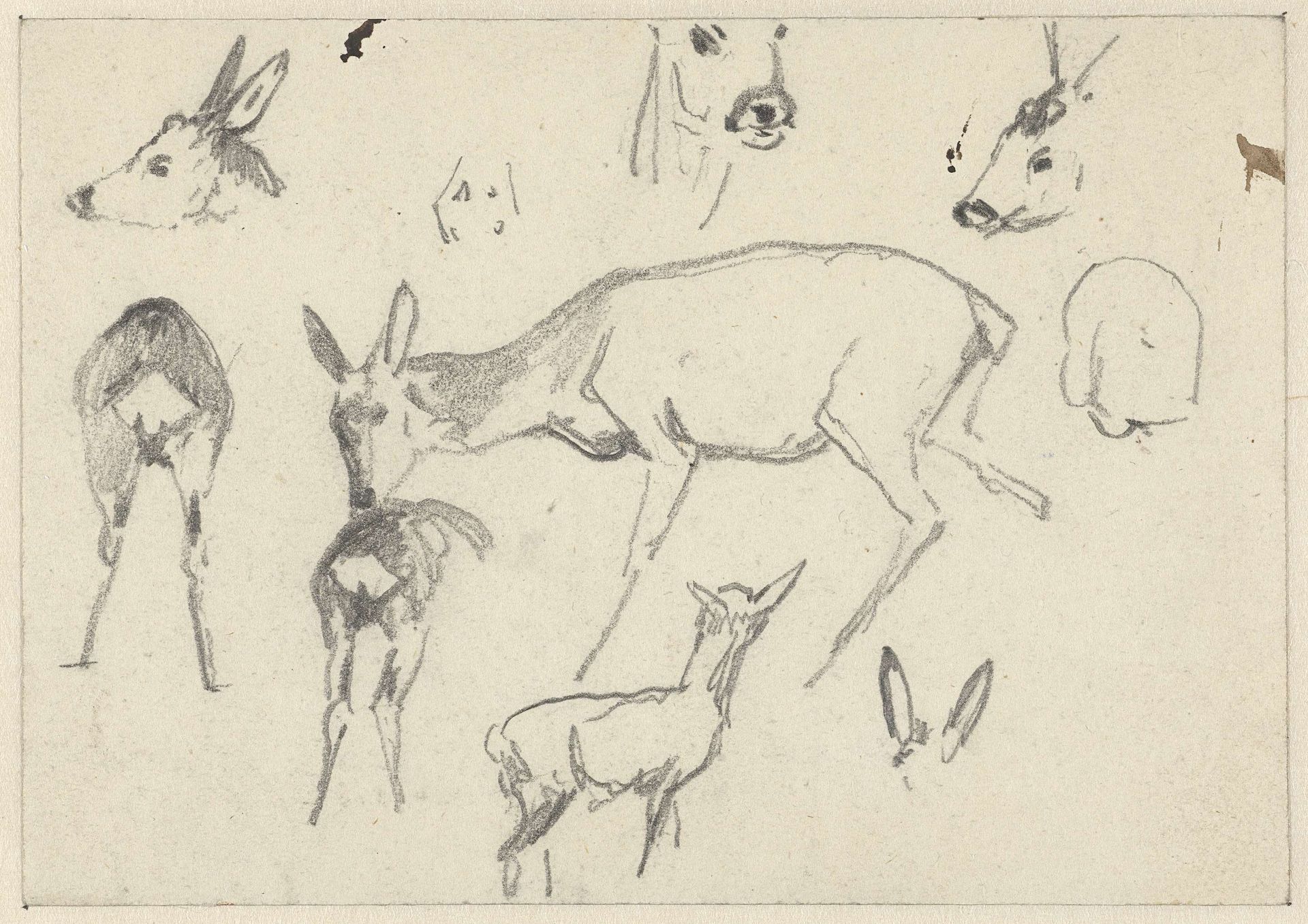 Studieblad met herten by Guillaume Anne van der Brugghen