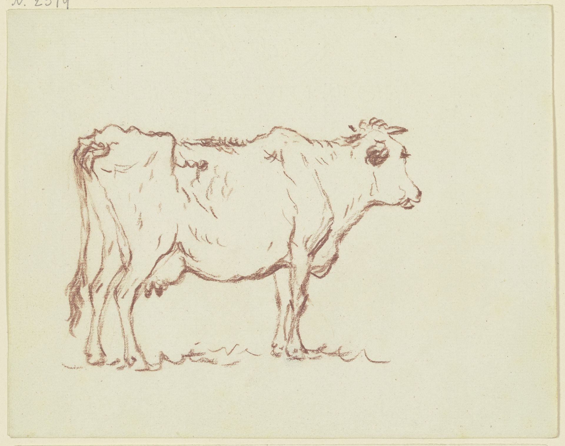 Standing cow to the right by Friedrich Wilhelm Hirt
