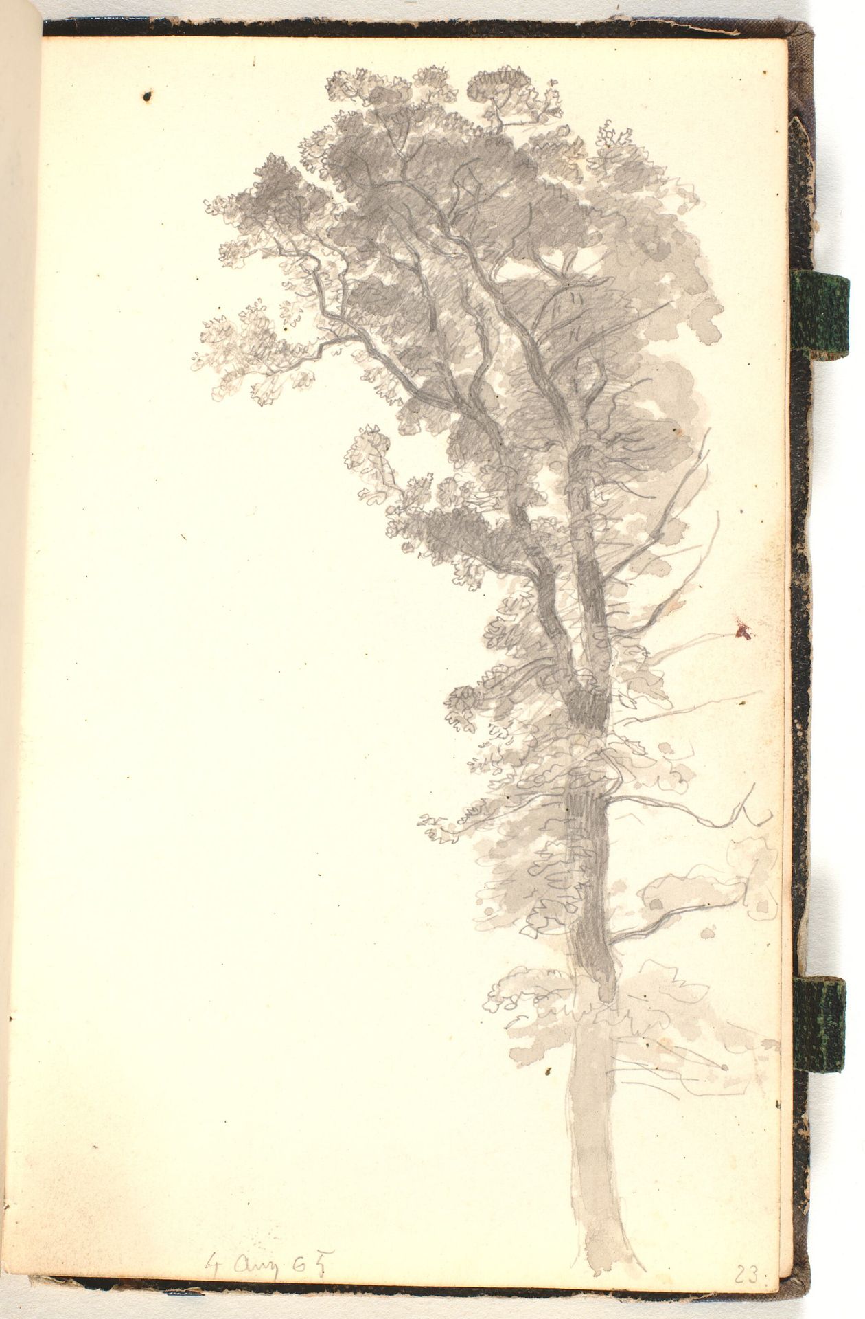 Et stort træ by P.C. Skovgaard