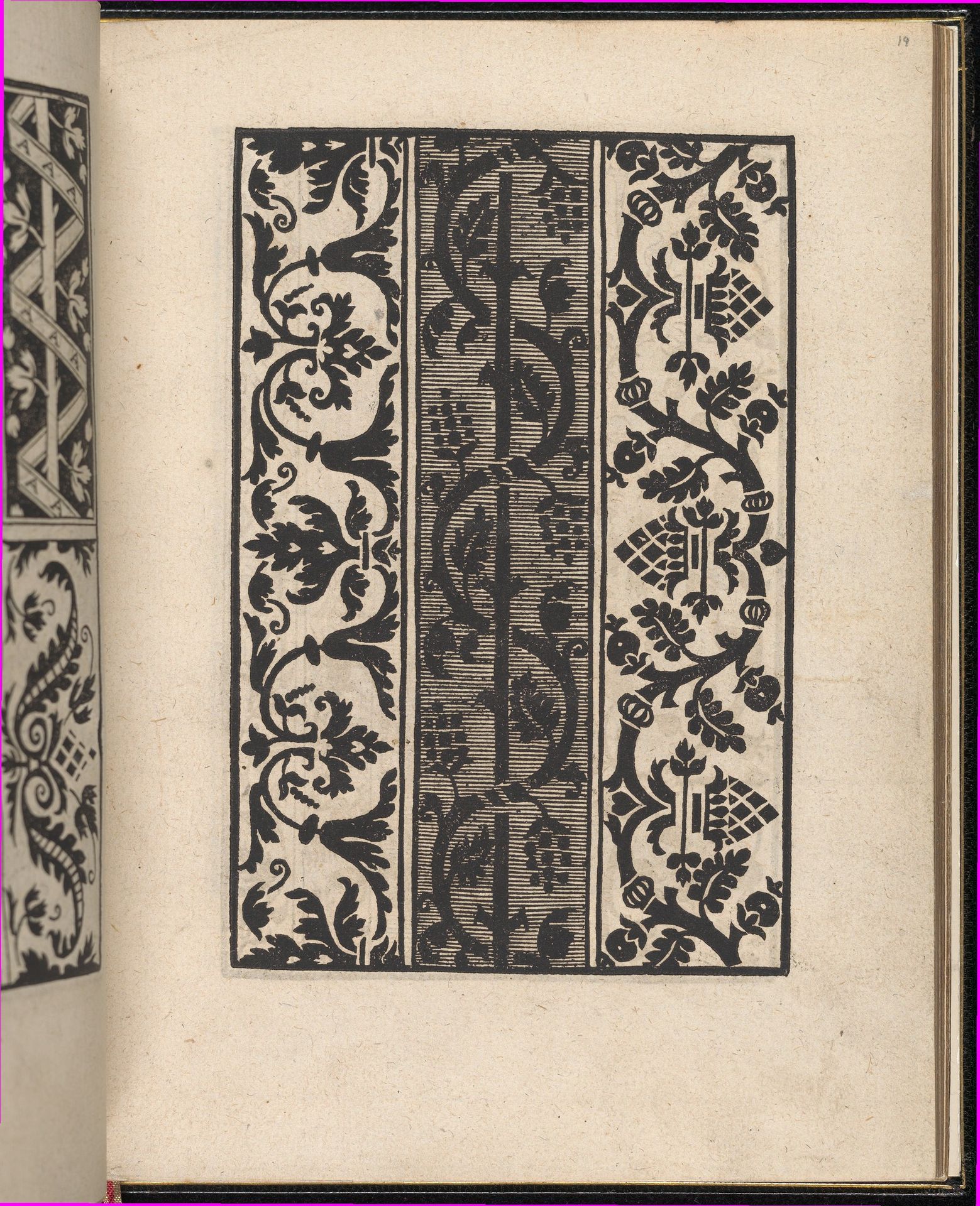 Page from Ein new kunstlich Modelbuch...(Page 19r) by Peter Quentel