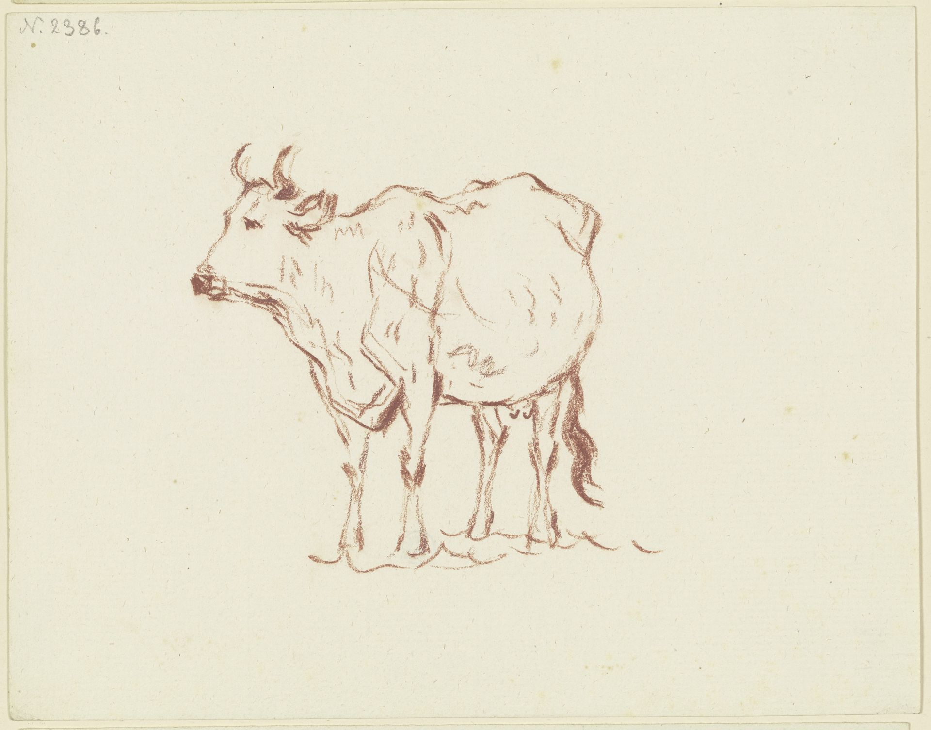 Stehende Kuh nach links, in Verkürzung halb von vorn gesehen by Friedrich Wilhelm Hirt