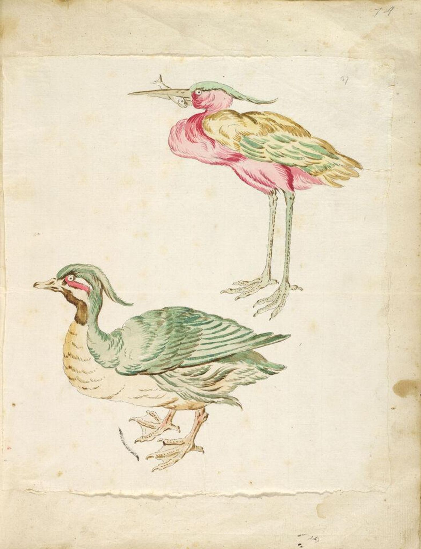 Duck and Heron with a Fish; verso: blank by Jean-Baptiste Oudry