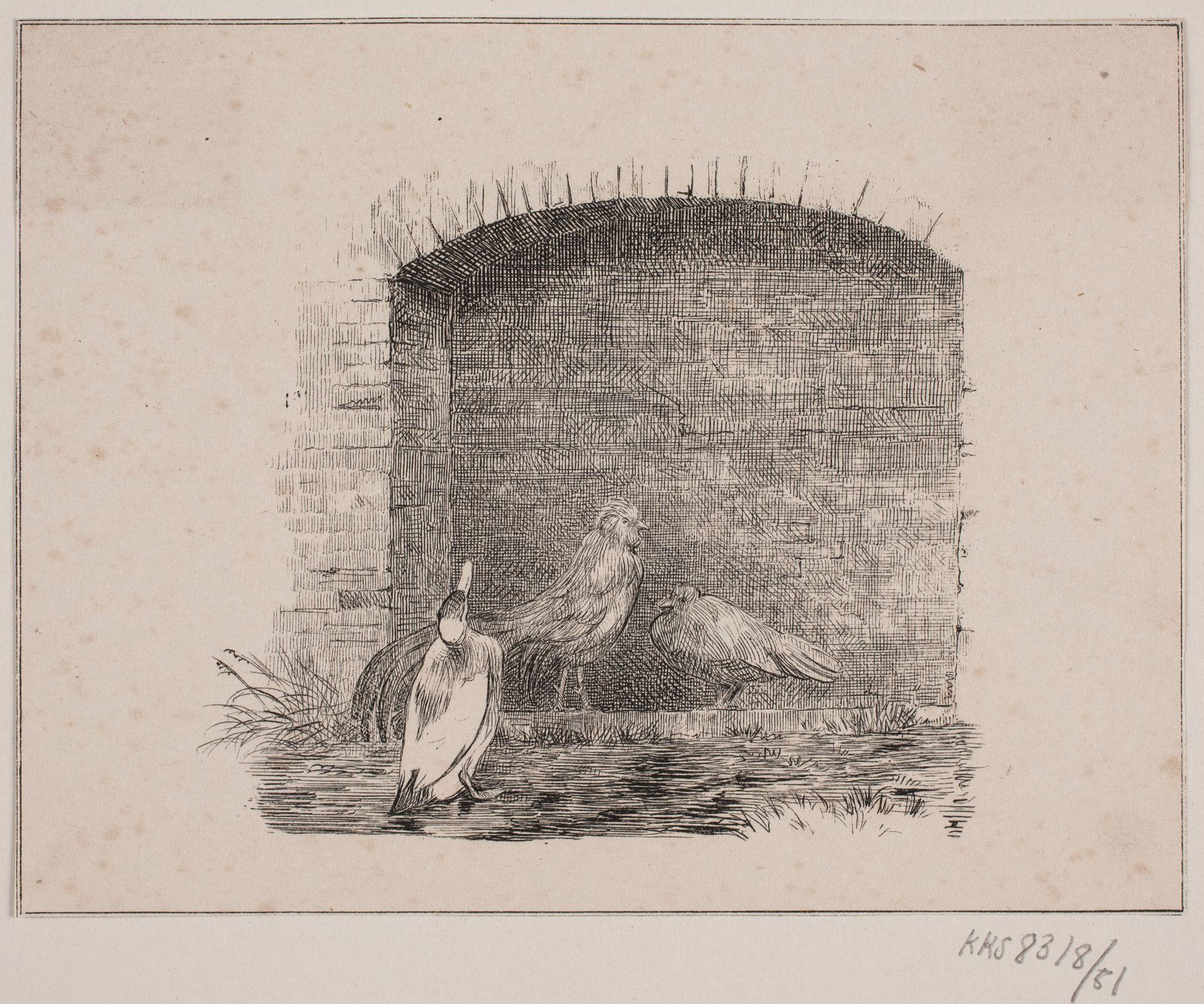 Hønsene og ænderne by Adolph Kittendorff