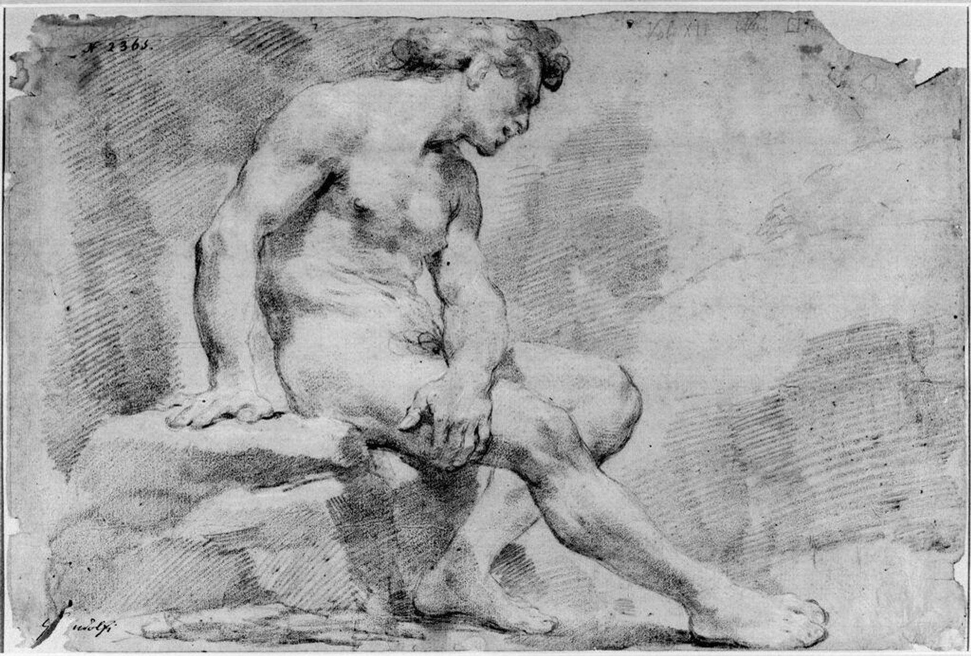 Seated Male Nude by Ubaldo Gandolfi