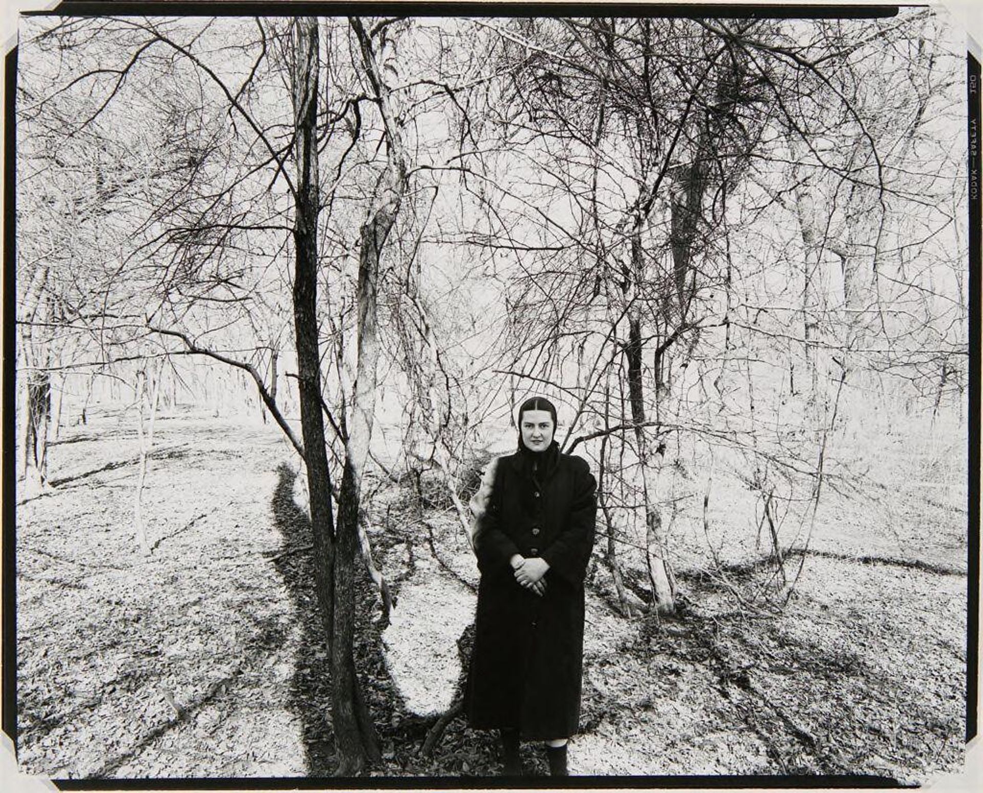 Eleanor, Chicago by Harry Callahan
