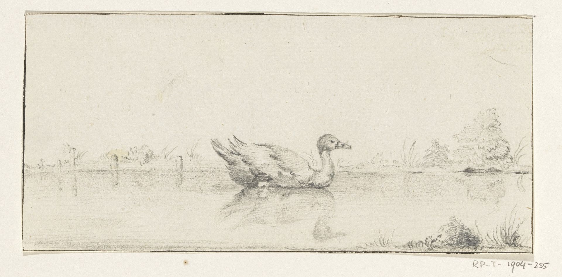 Eend in het water by Jean Bernard