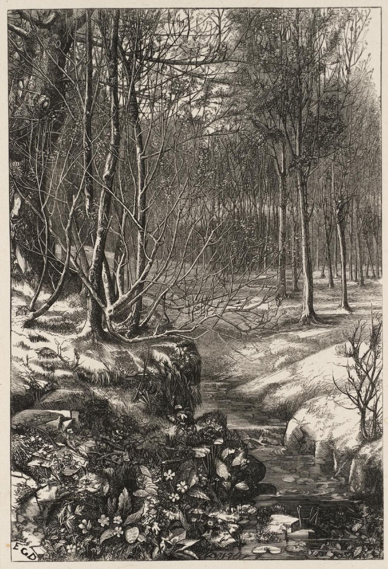 Spring Flowers by  Edward Gurden Dalziel