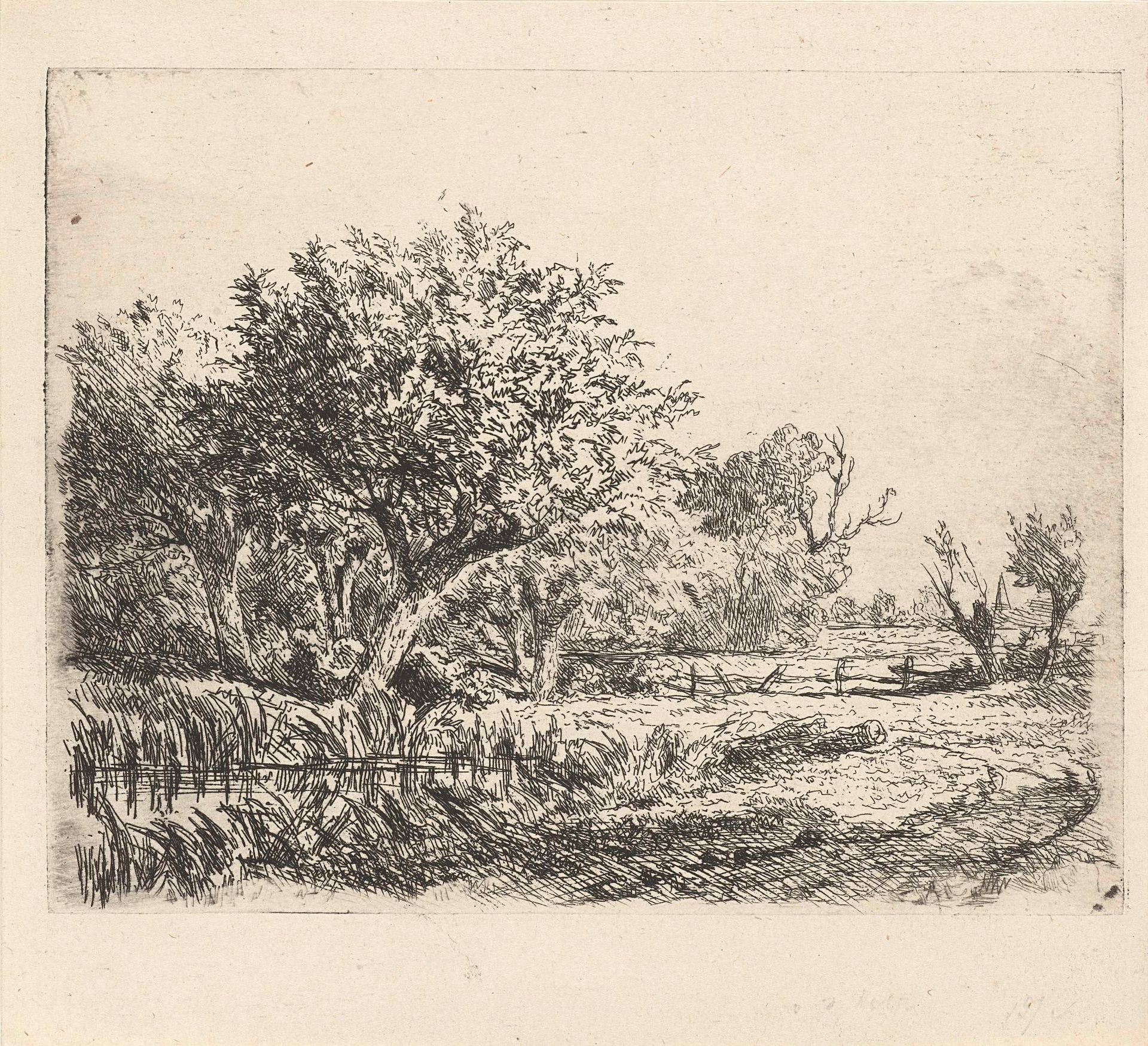 Wilgen bij een poel by Adrianus van Everdingen