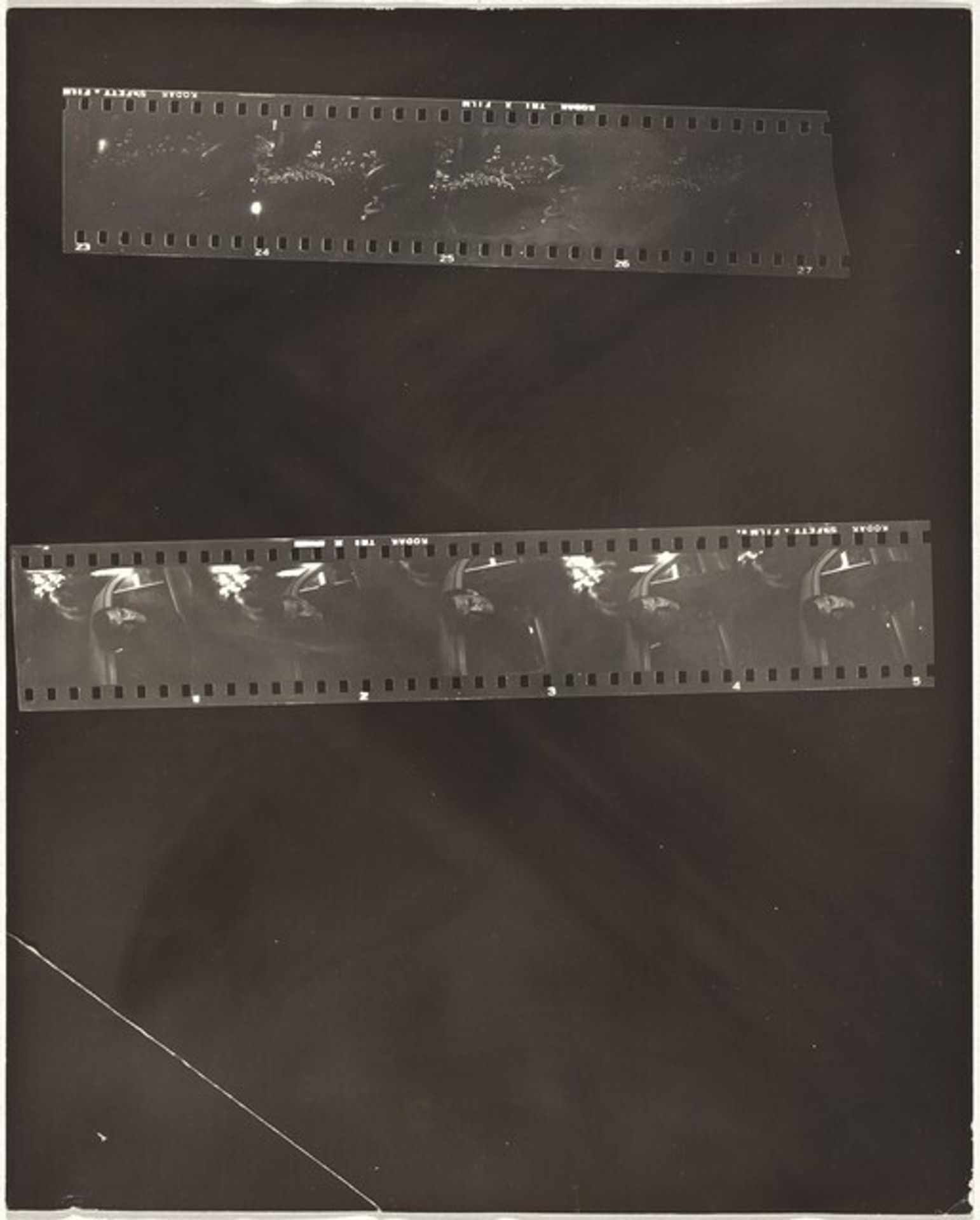 Jack Kerouac and flamingos--Florida no number by Robert Frank