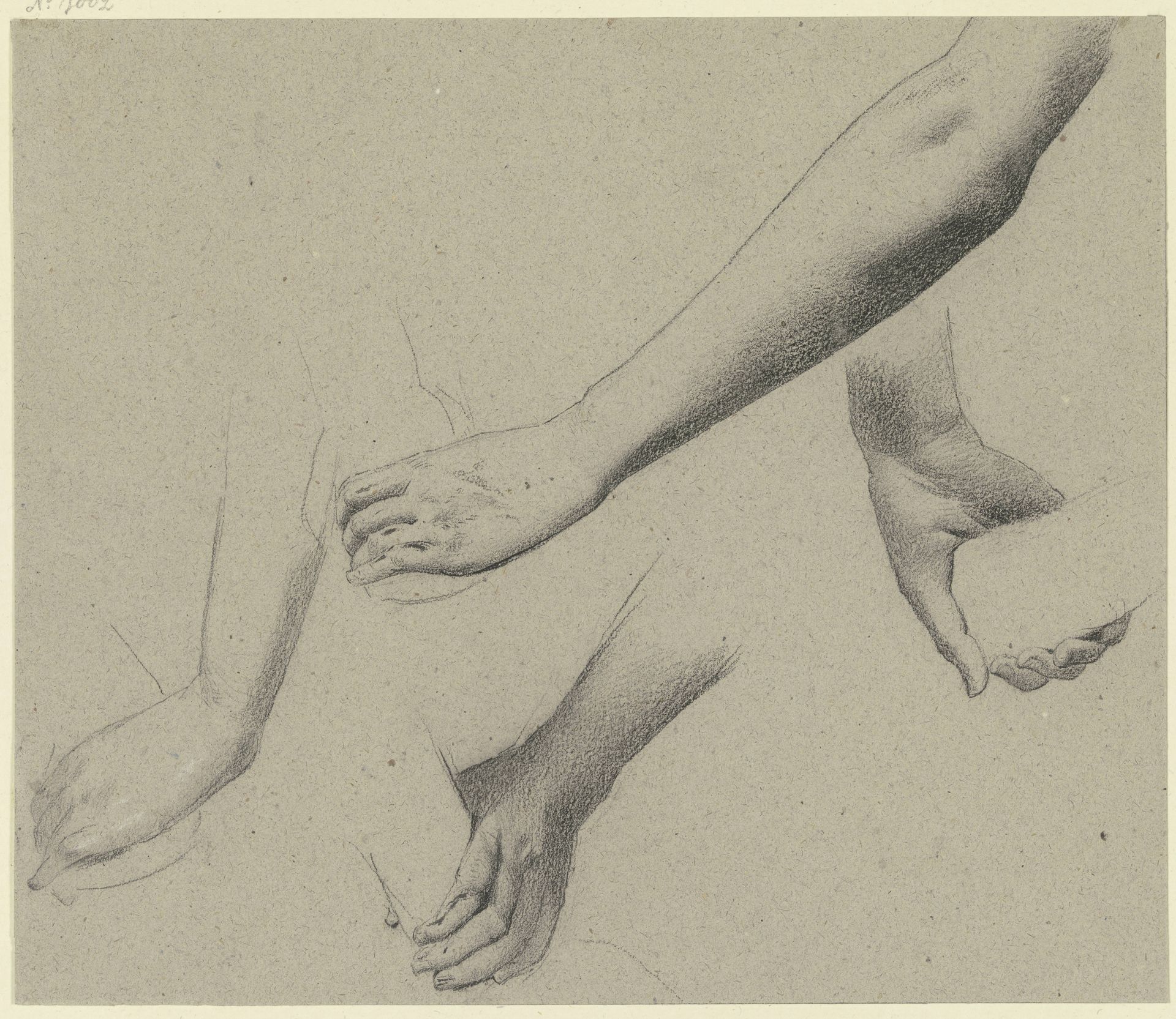 Studies of arms and hands by Wilhelm Gentz
