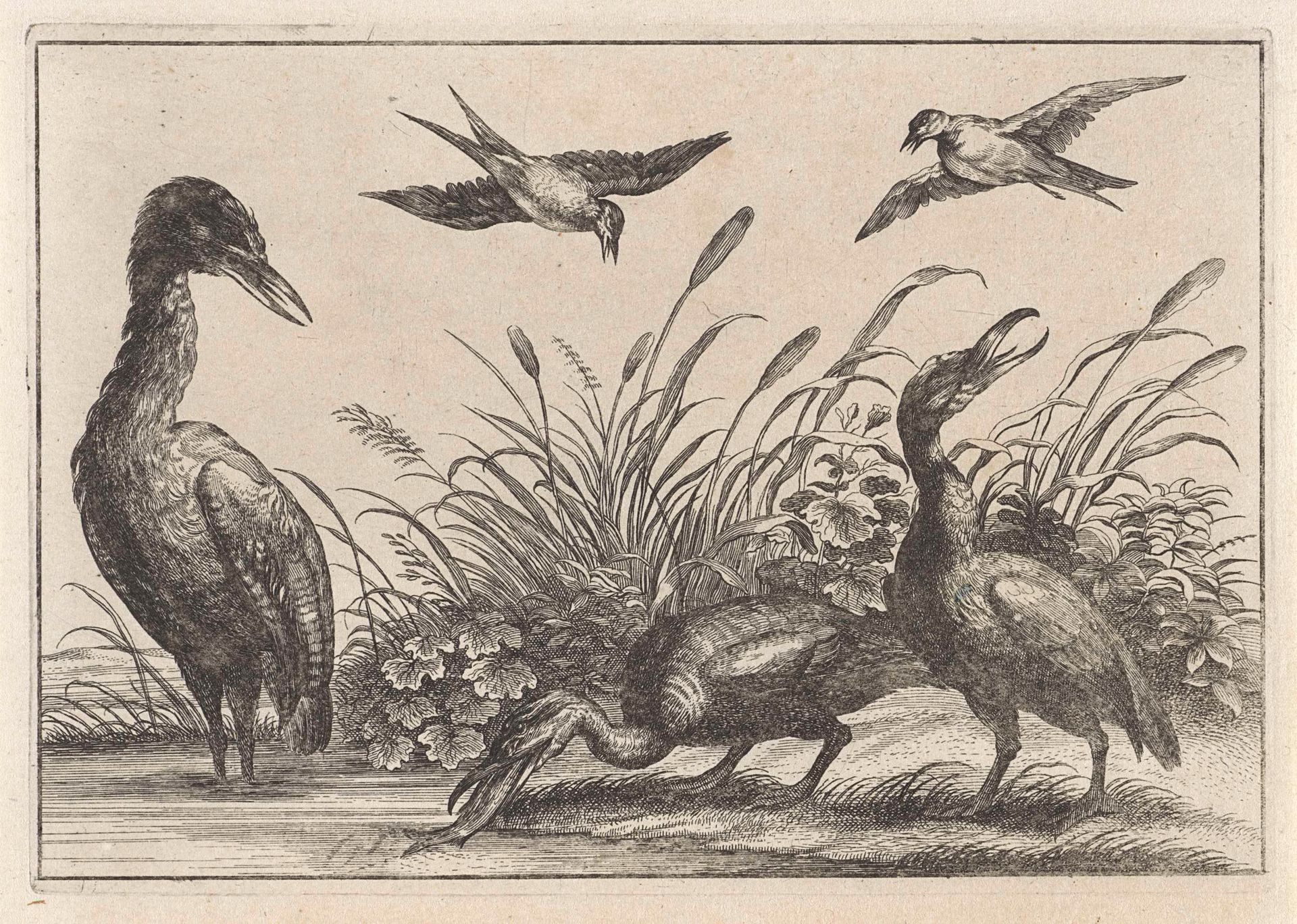 Reigers en zwaluwen by Anonymous
