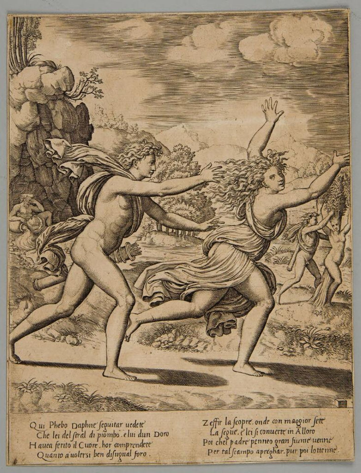 Apollo Pursuing Daphne by Anonymous